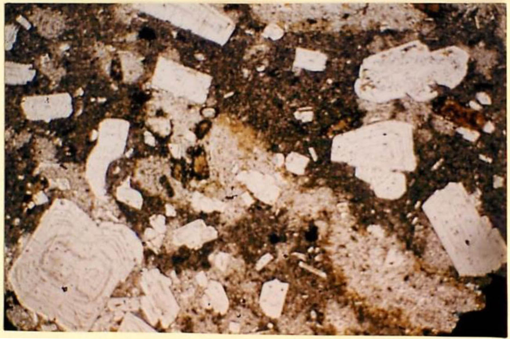 thin section image 2