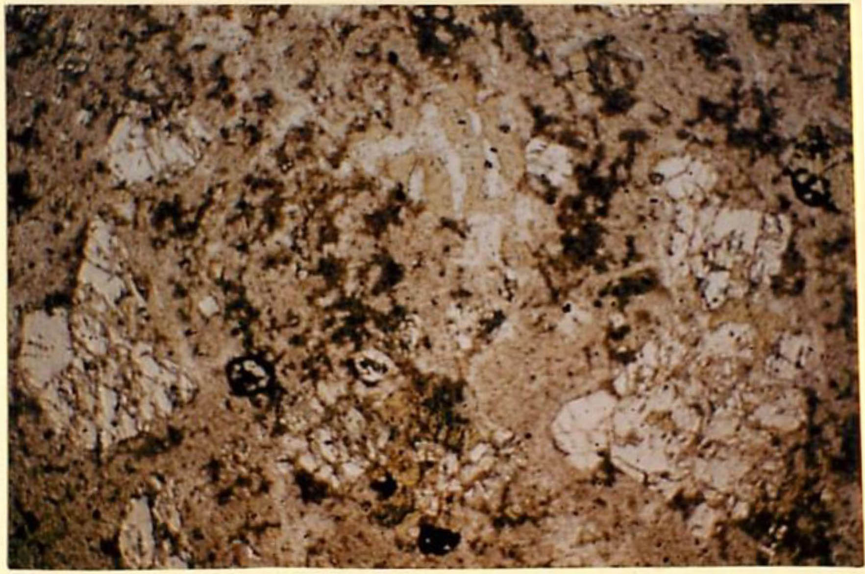 thin section image 2