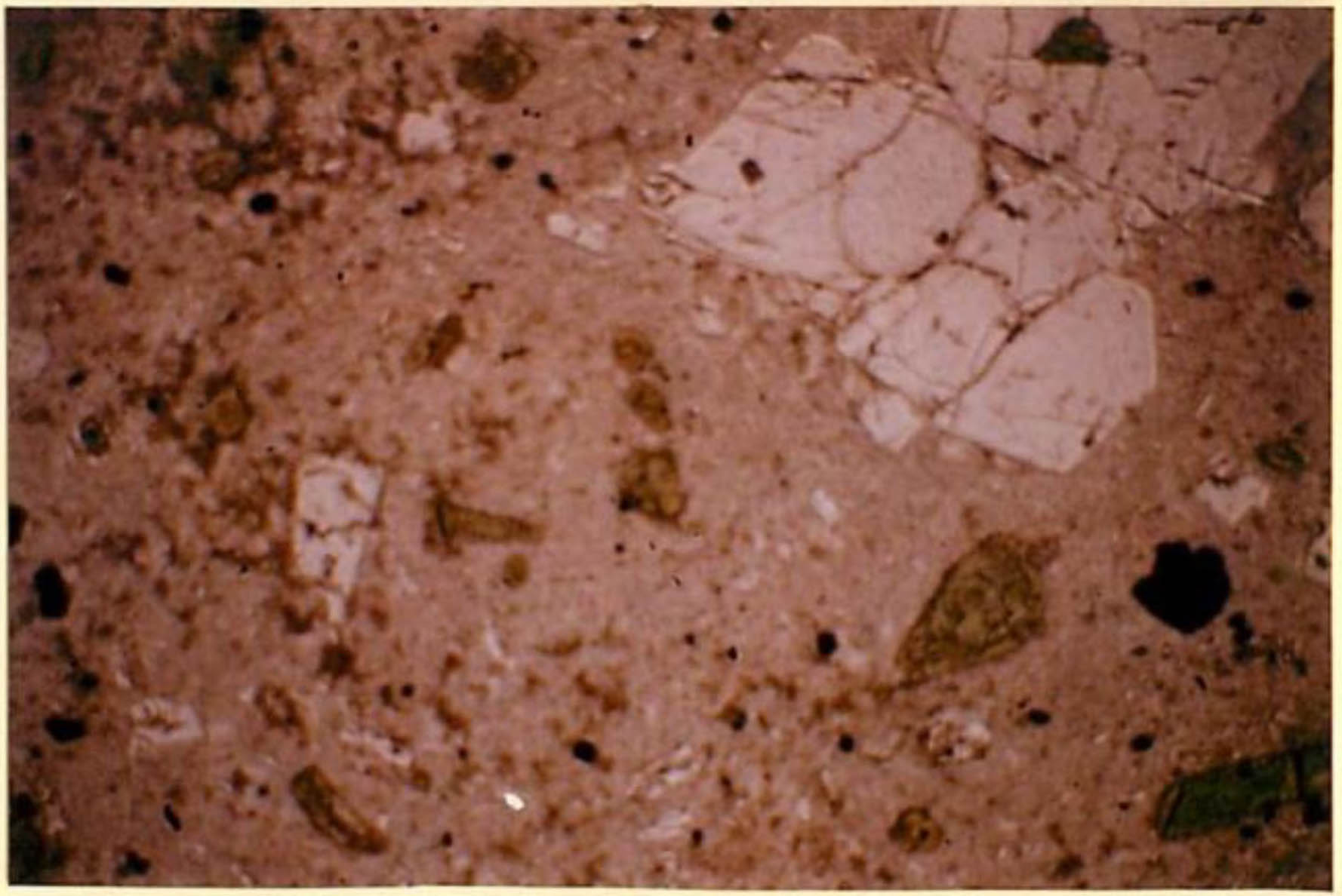 thin section image 2