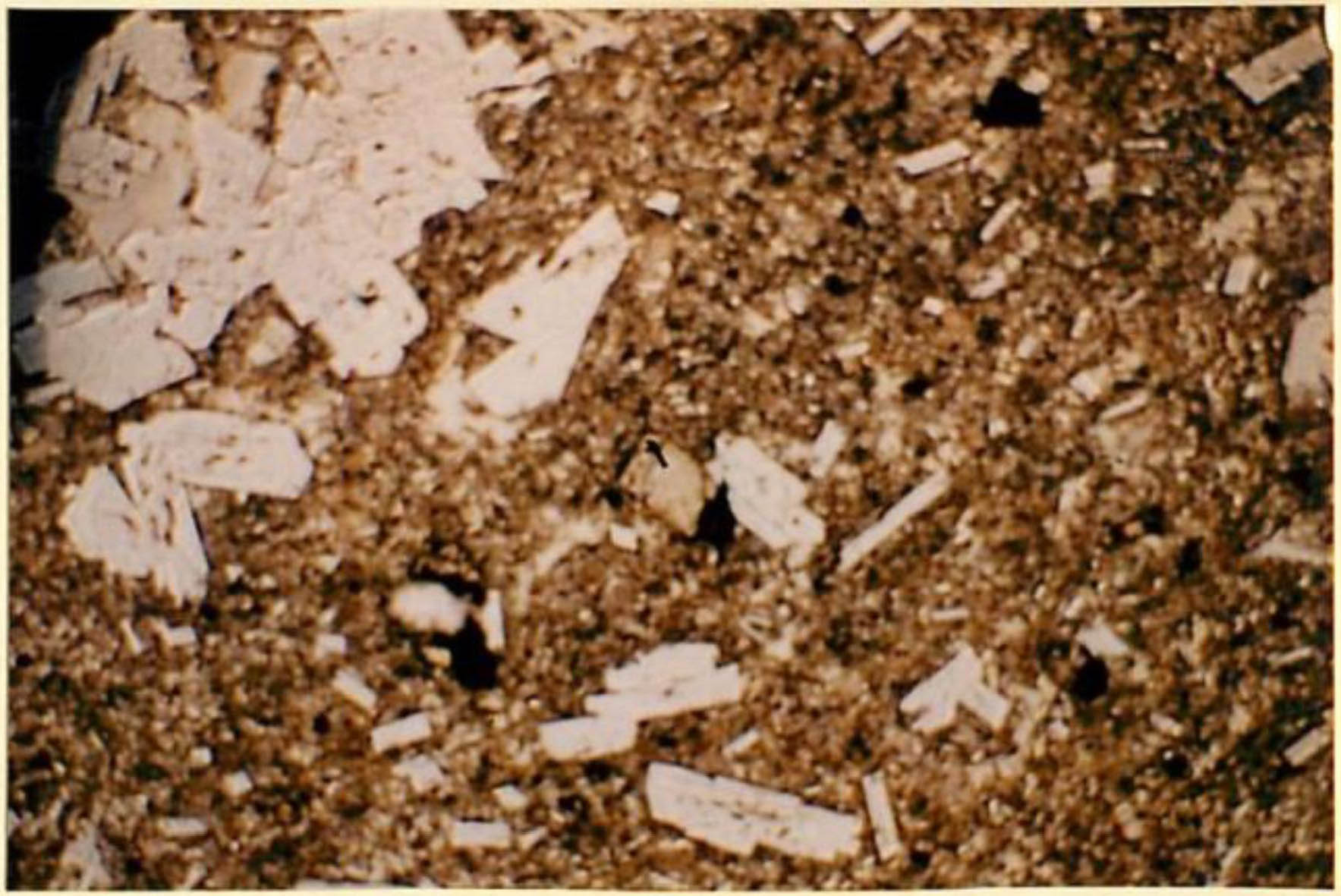 thin section image 2