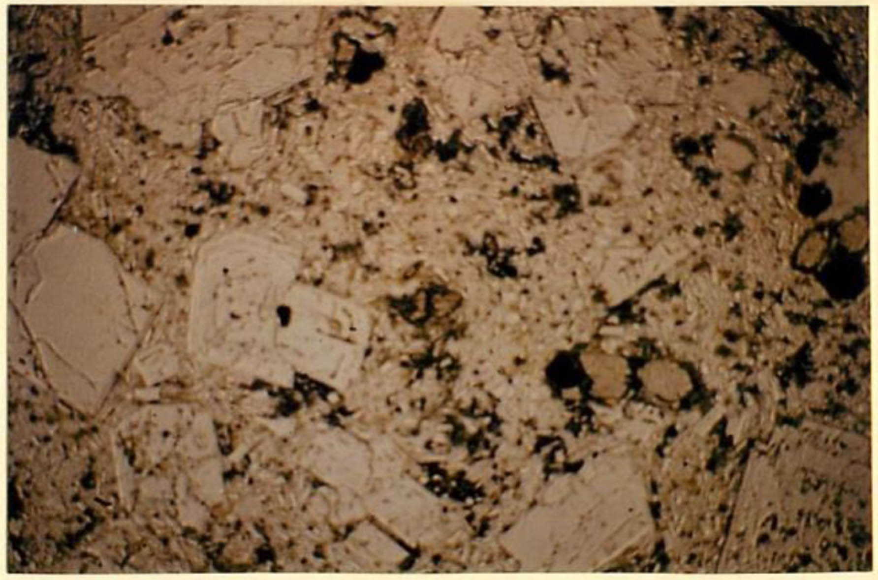 thin section image 2