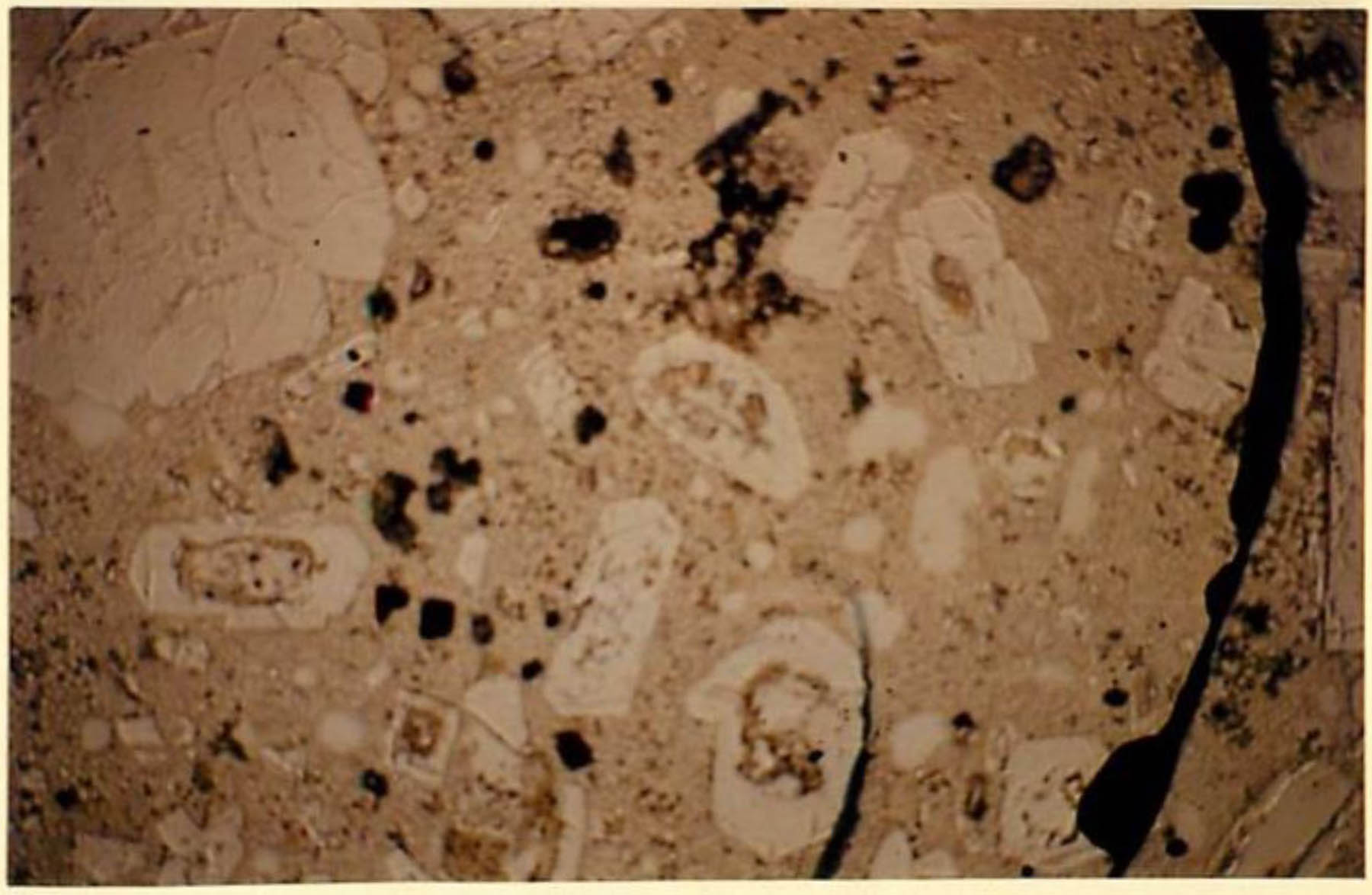 thin section image 2