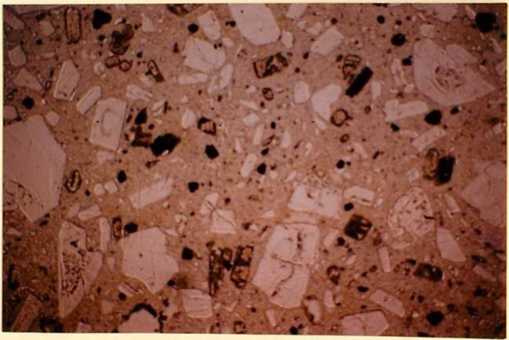 thin section image 2