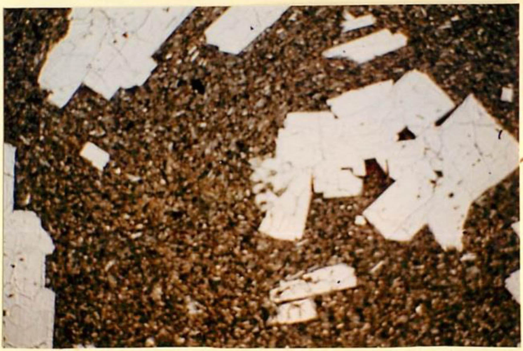 thin section image 2