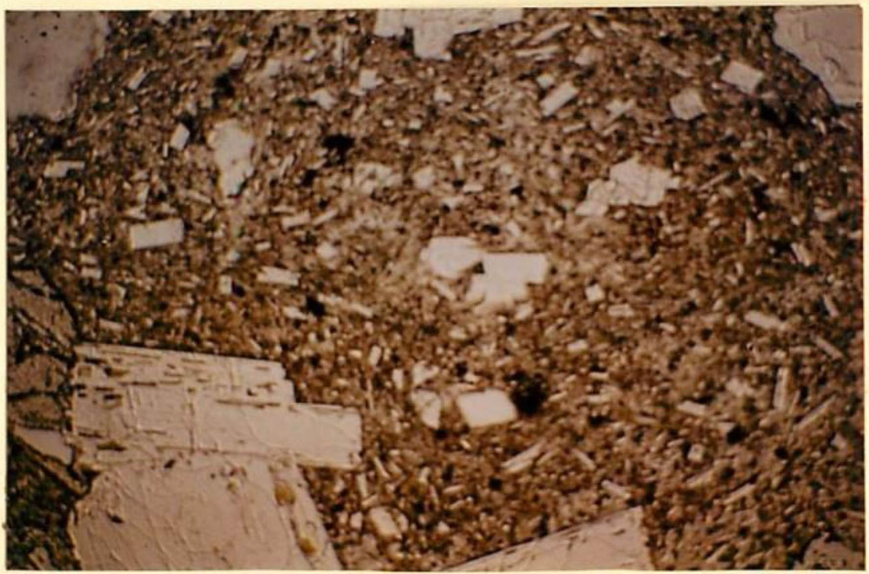 thin section image 2