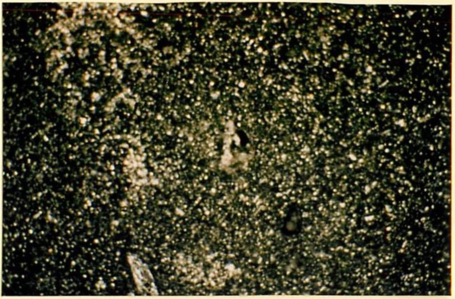 thin section image 1