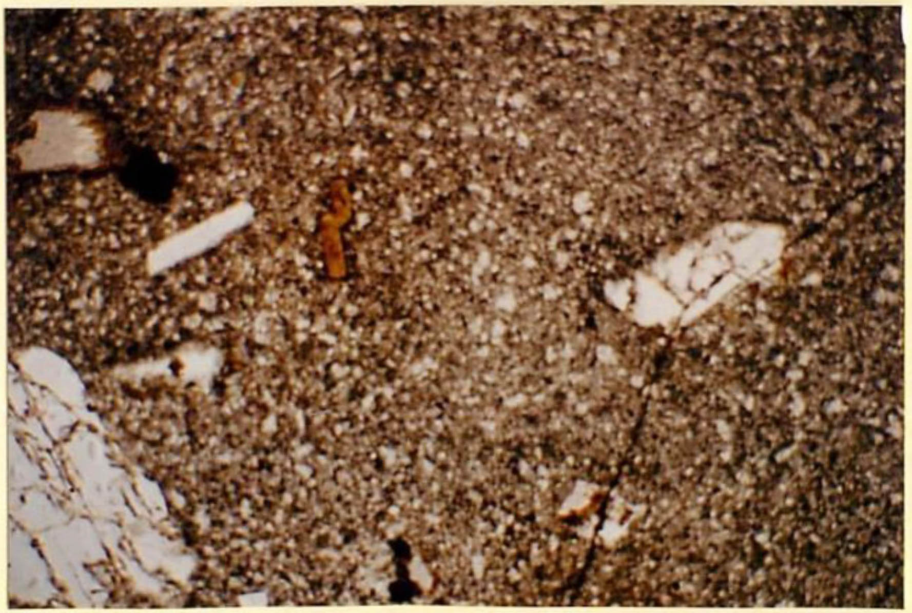thin section image 2
