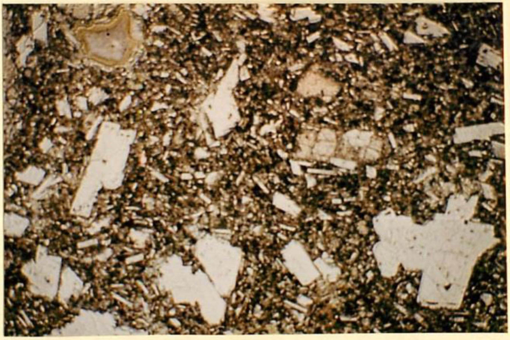 thin section image 2