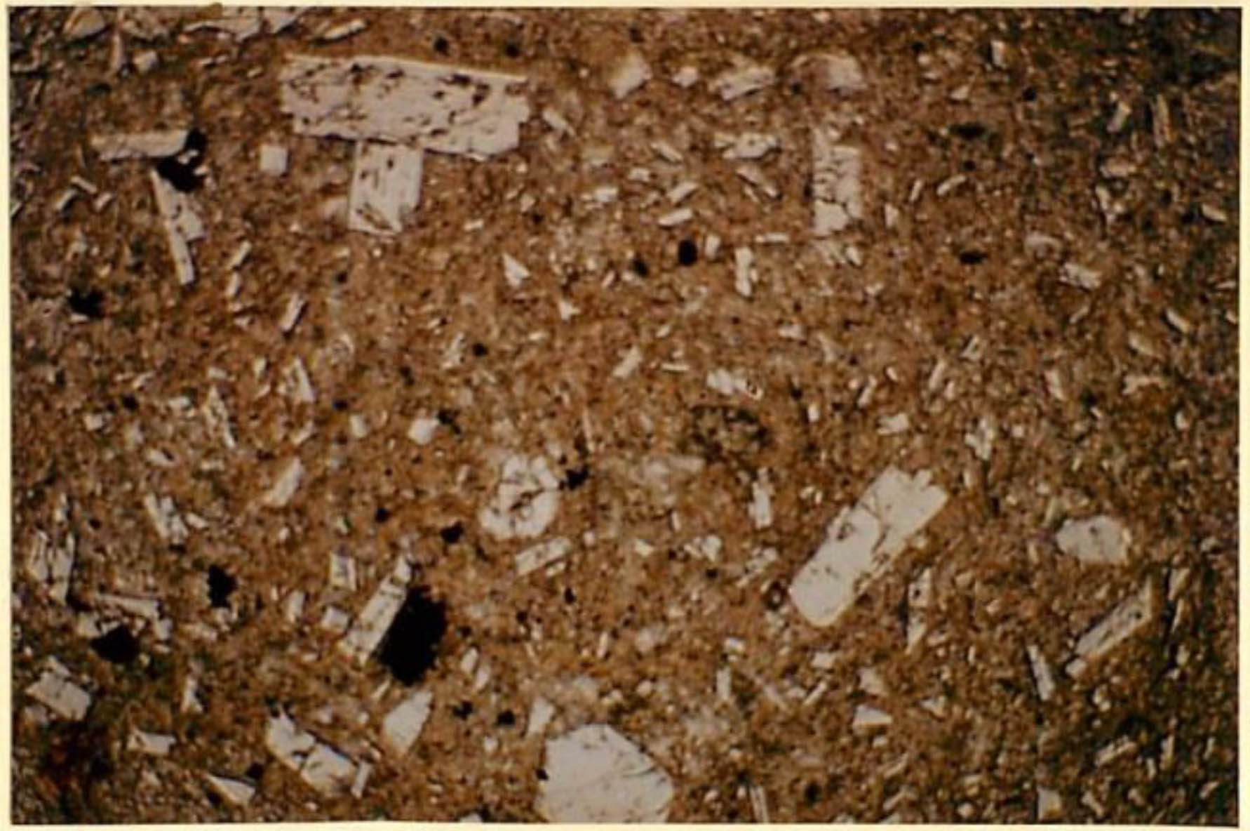 thin section image 2