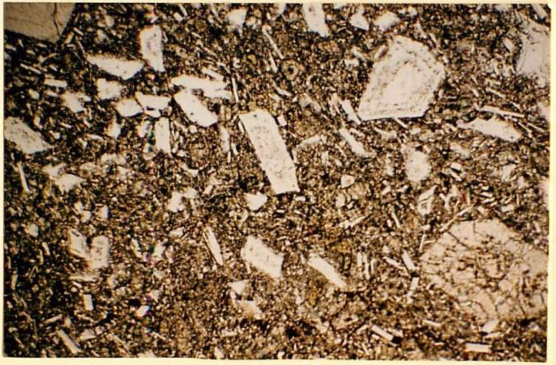 thin section image 2