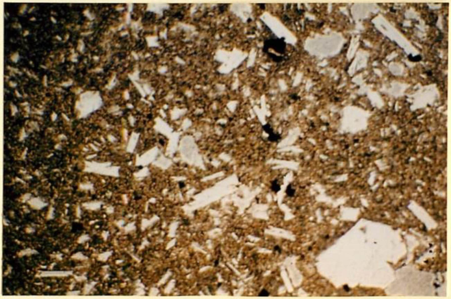 thin section image 2