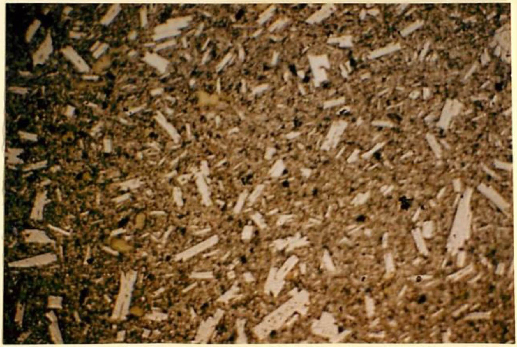 thin section image 2