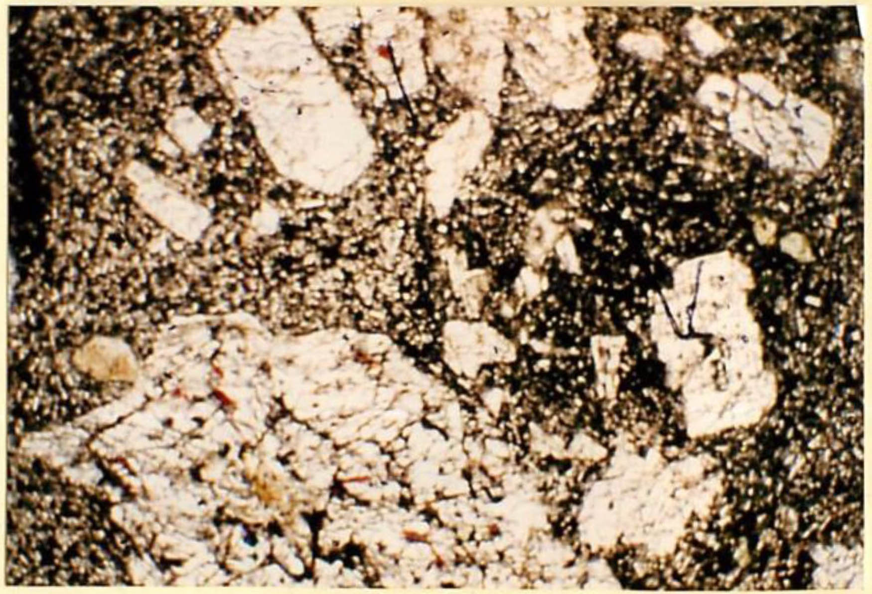 thin section image 2