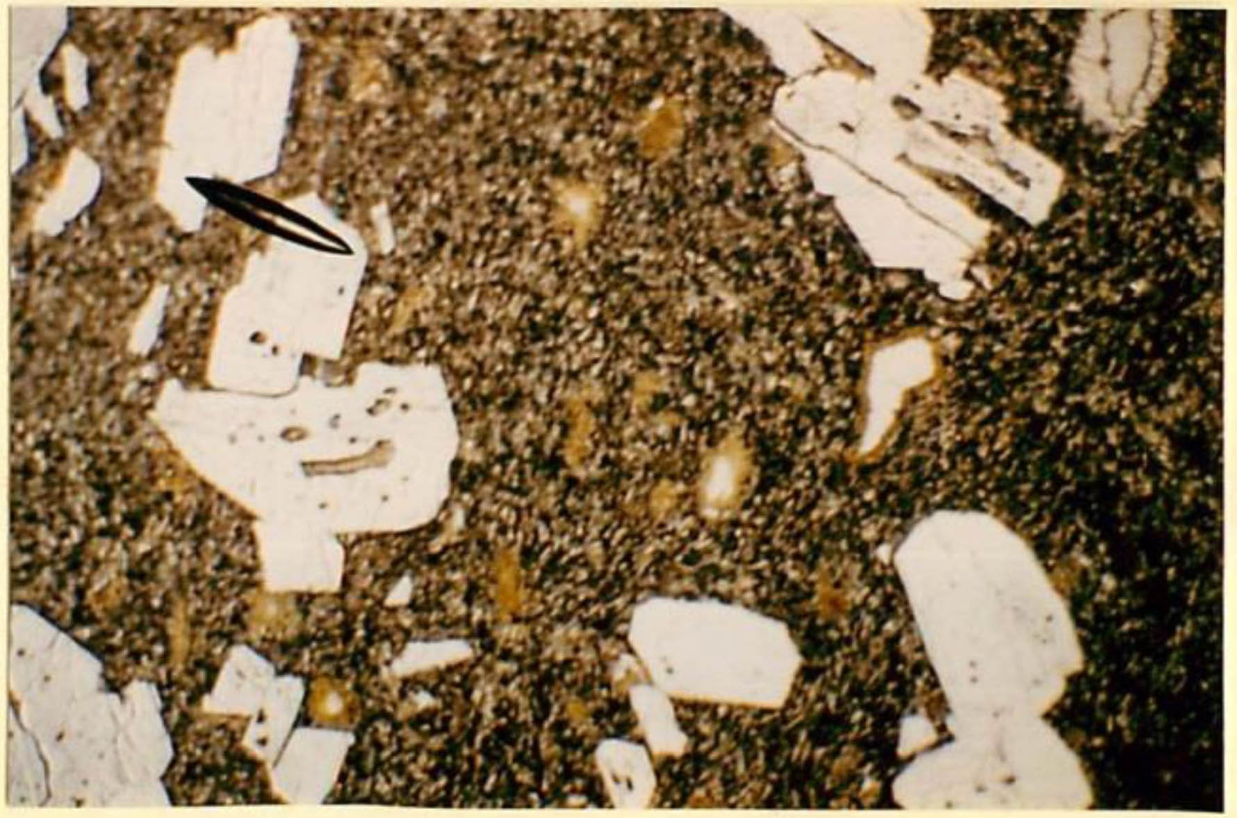 thin section image 2