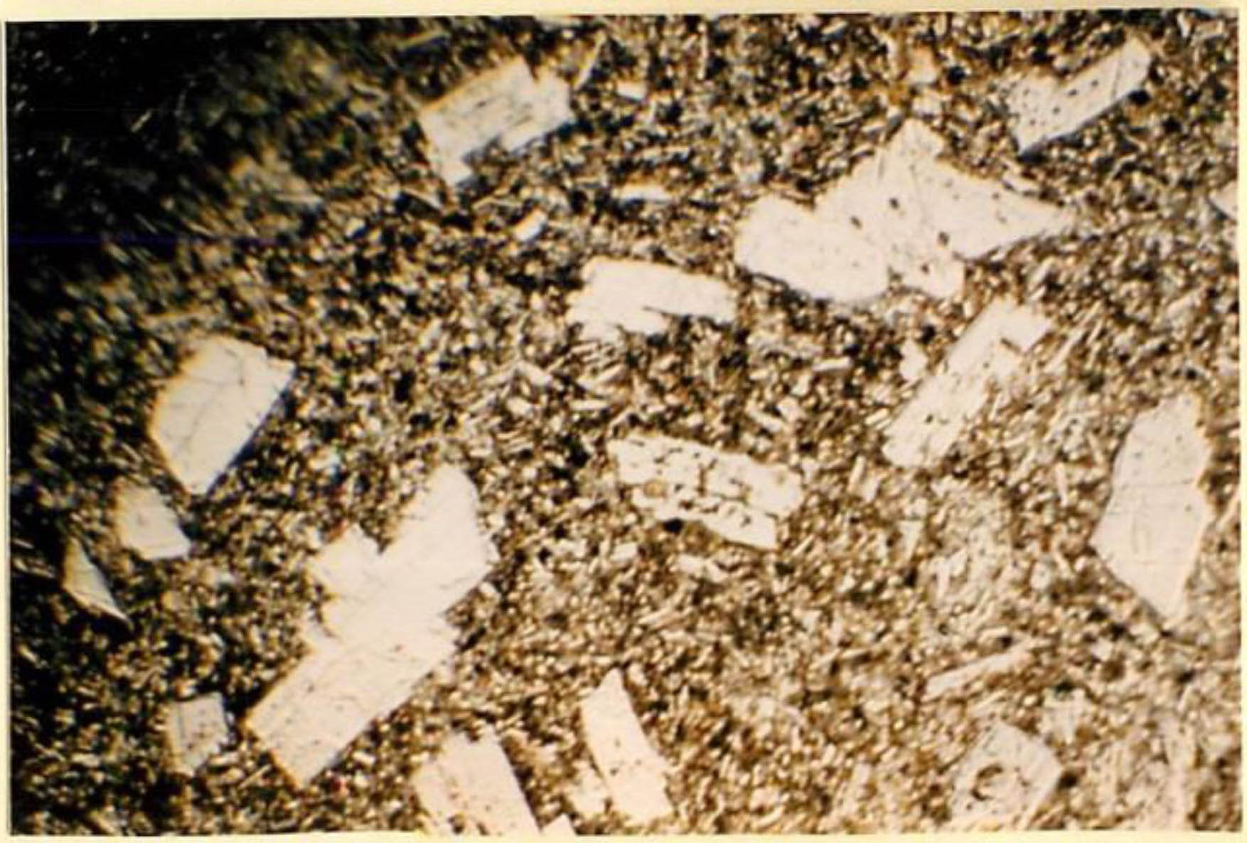 thin section image 2