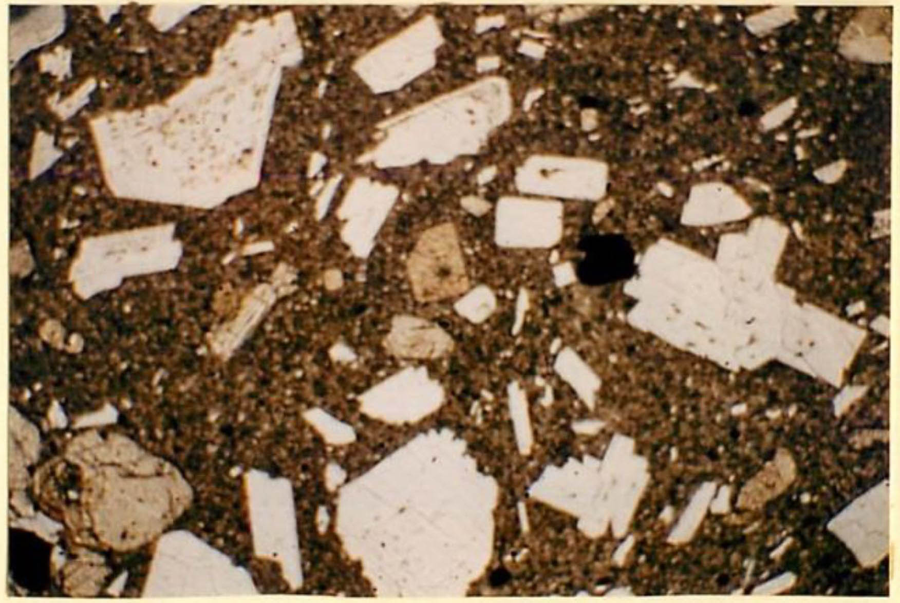 thin section image 2