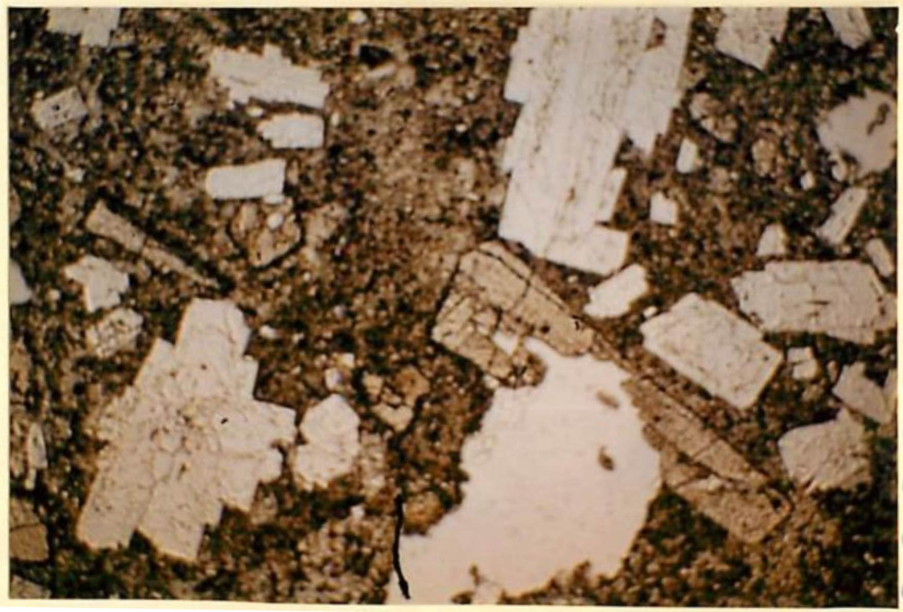 thin section image 2