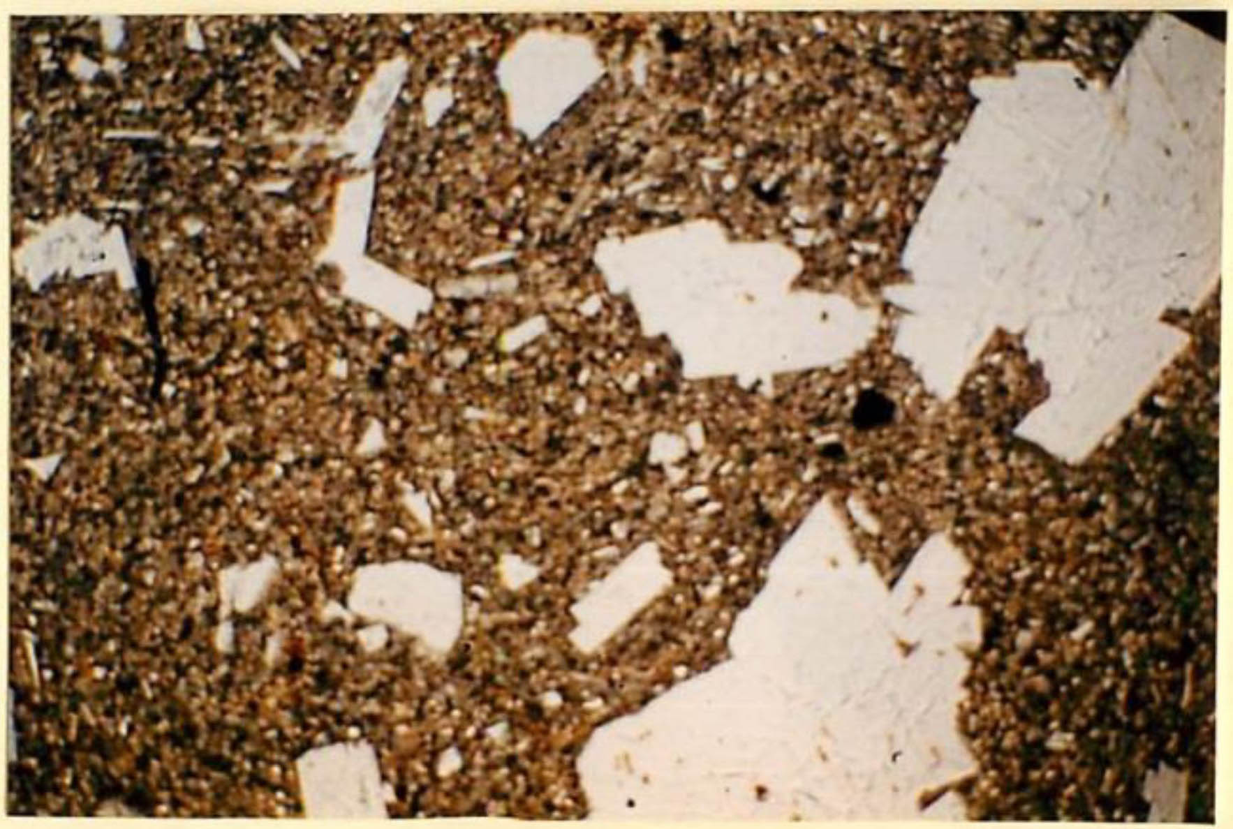 thin section image 2