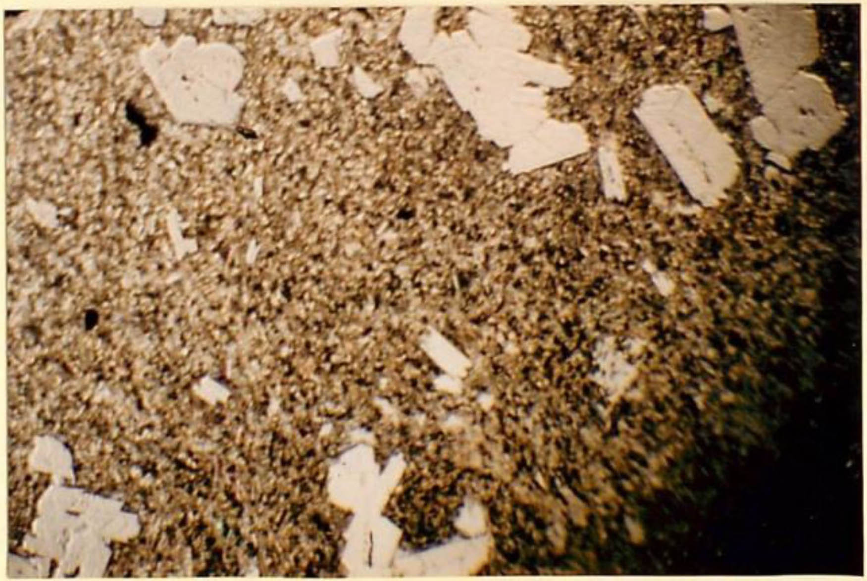 thin section image 2