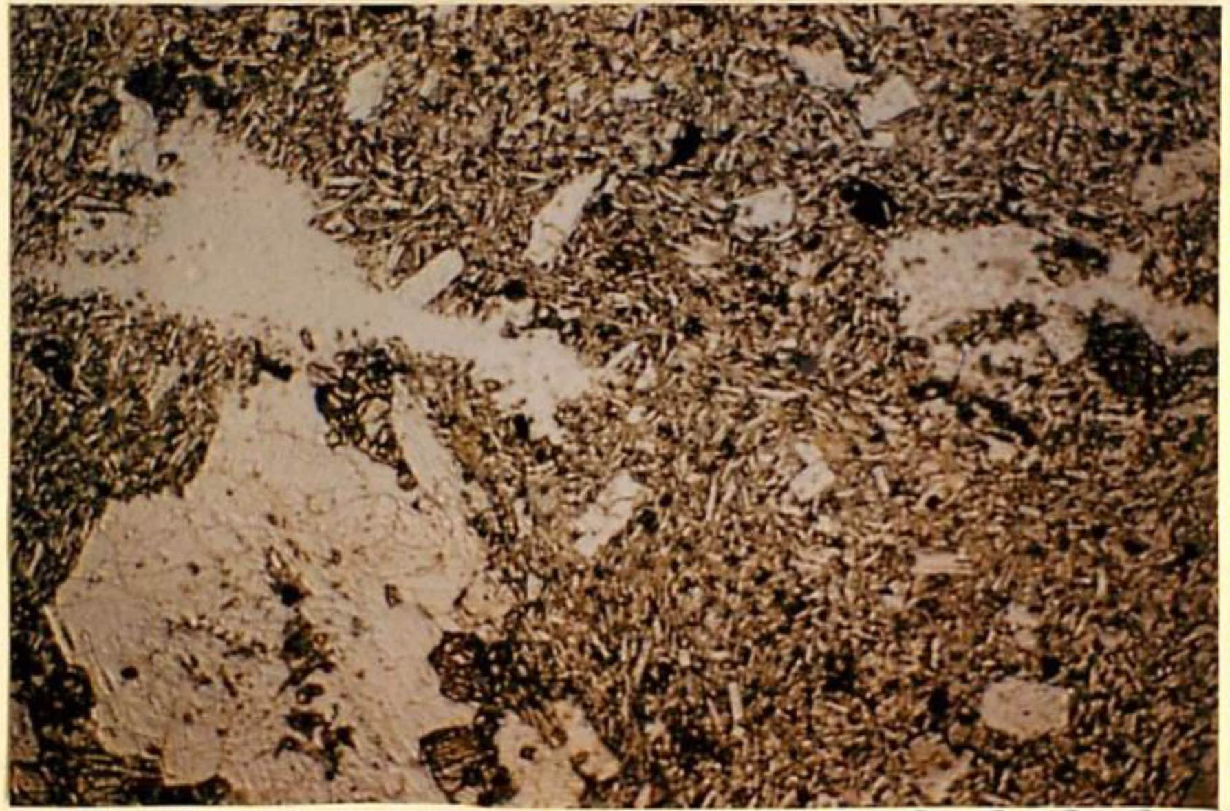 thin section image 2