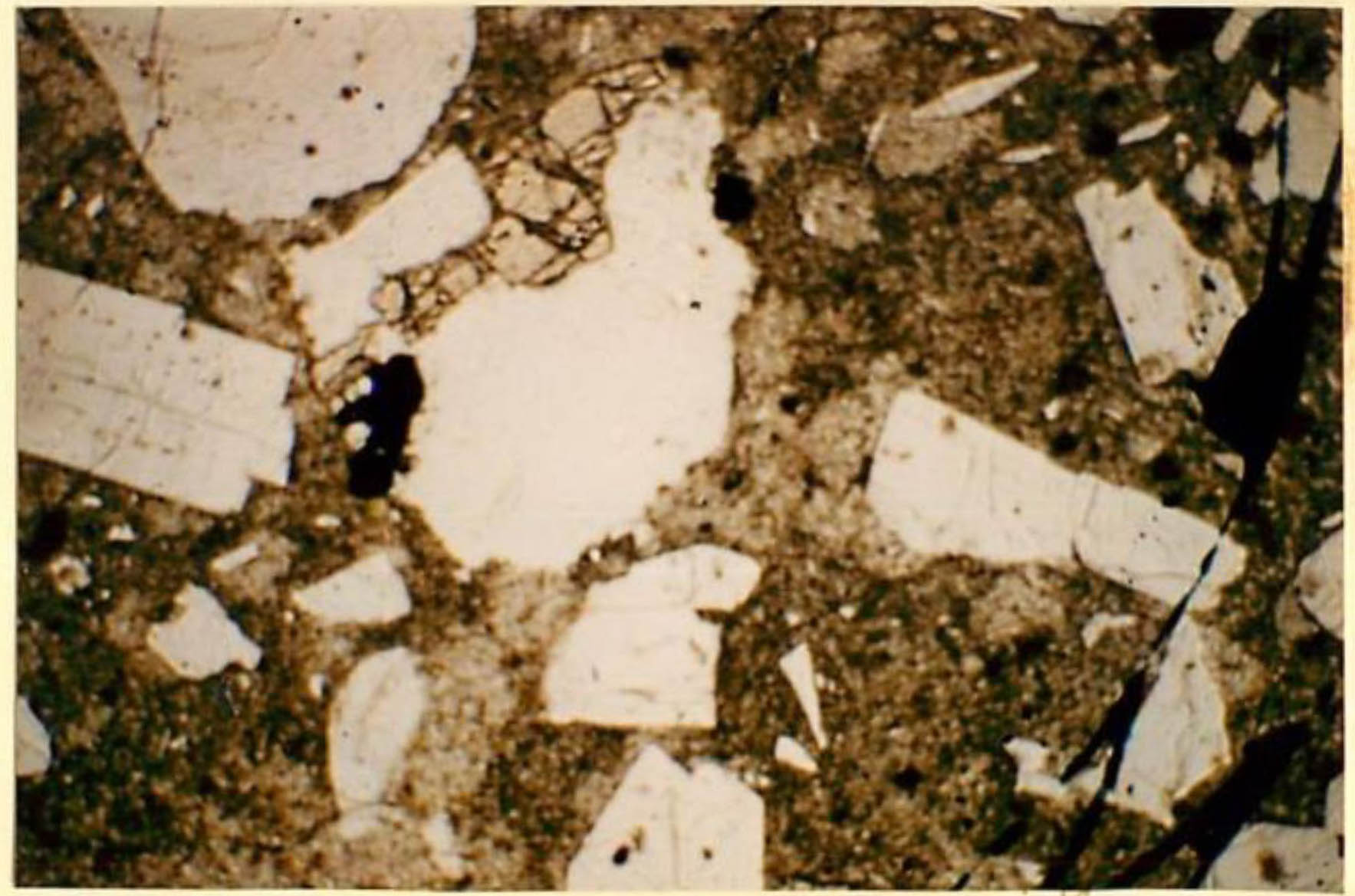 thin section image 2