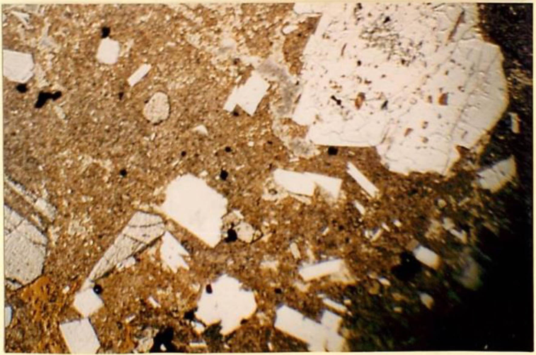 thin section image 2