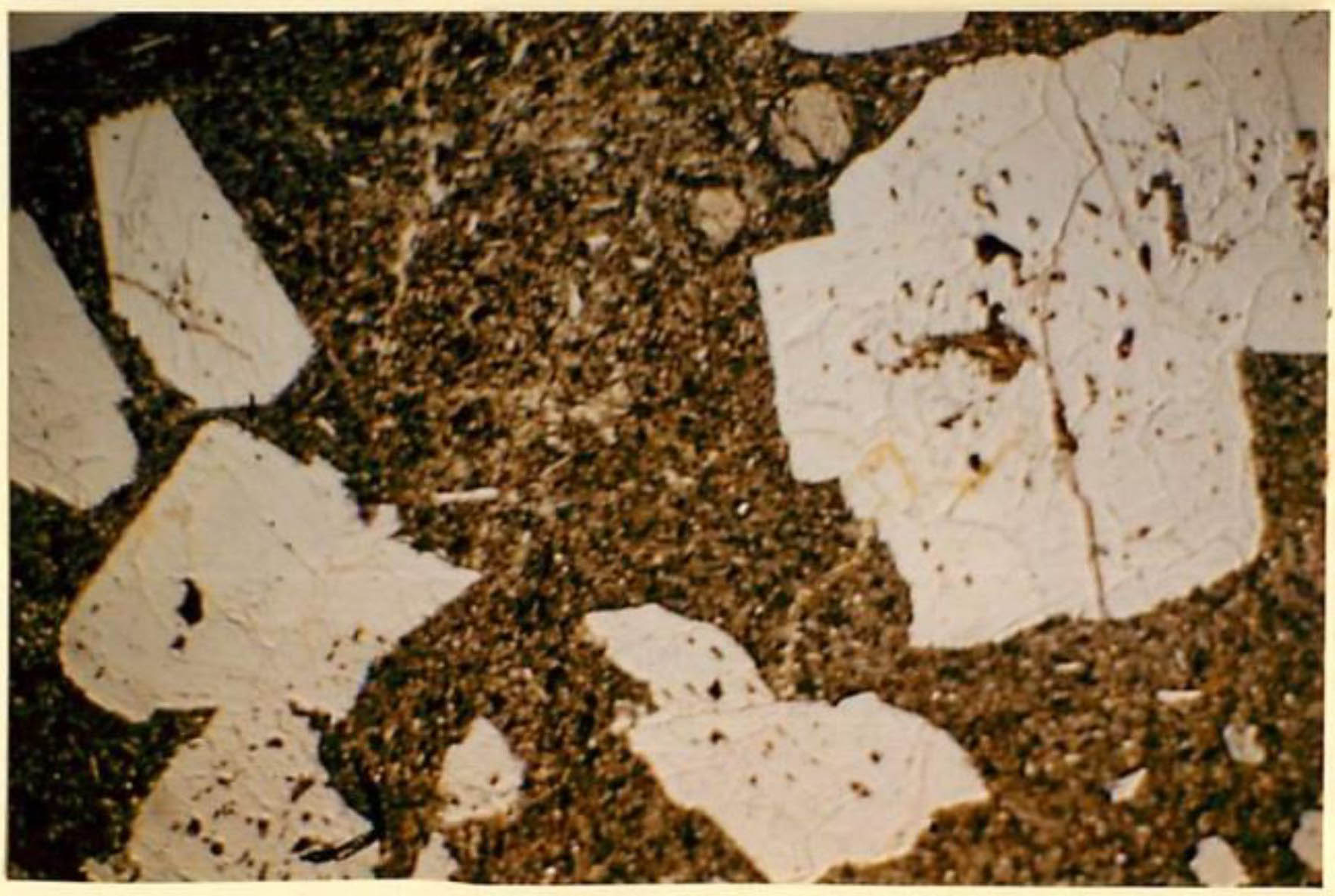 thin section image 2