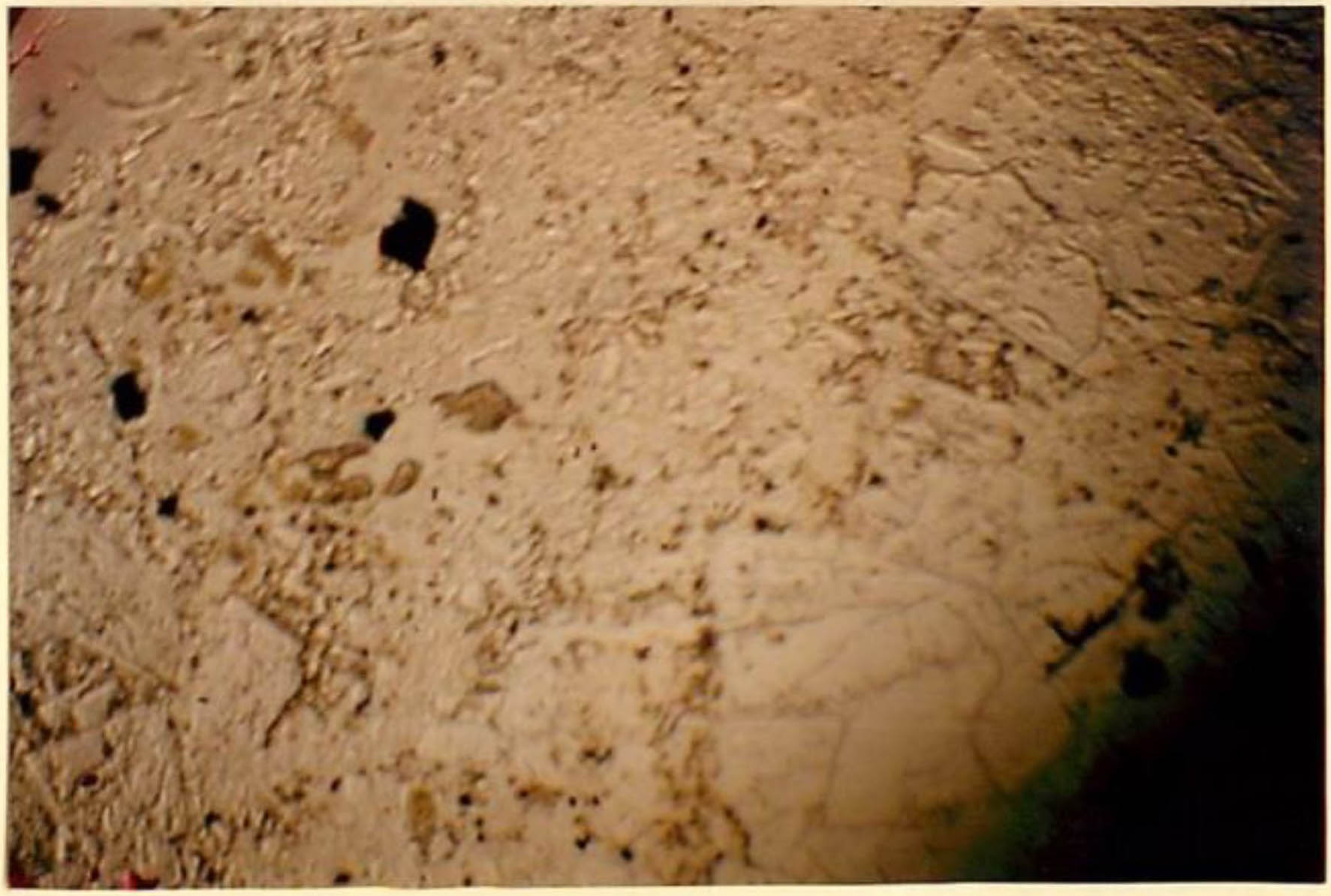 thin section image 2