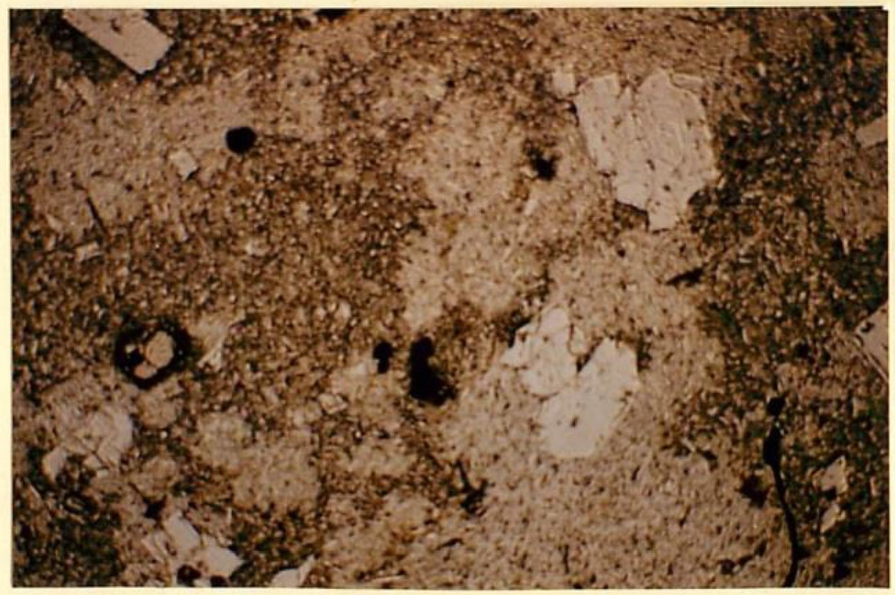 thin section image 2