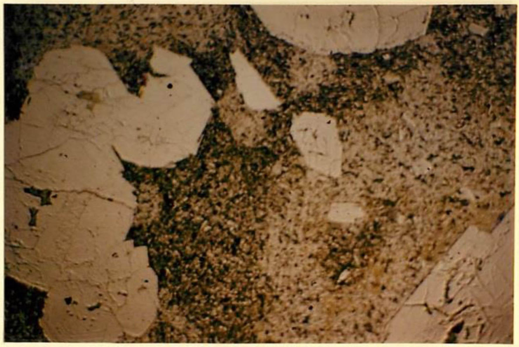 thin section image 2