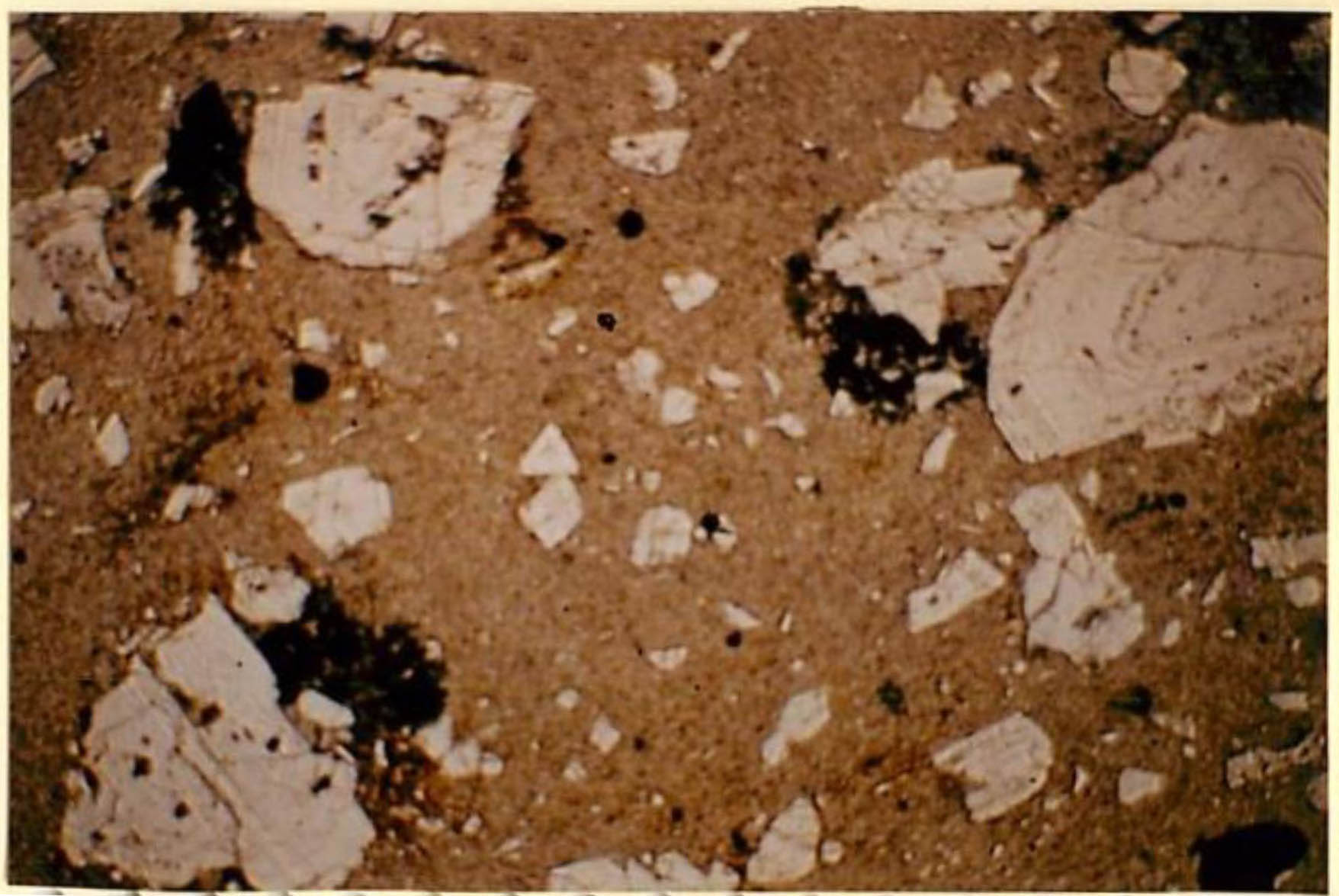 thin section image 2