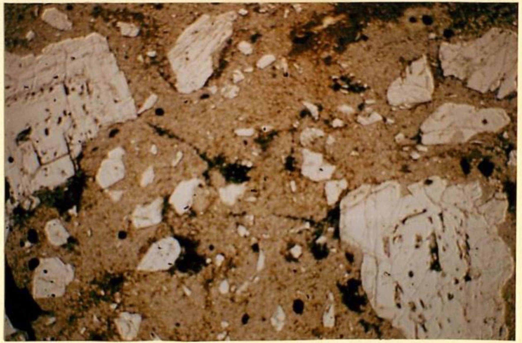 thin section image 2