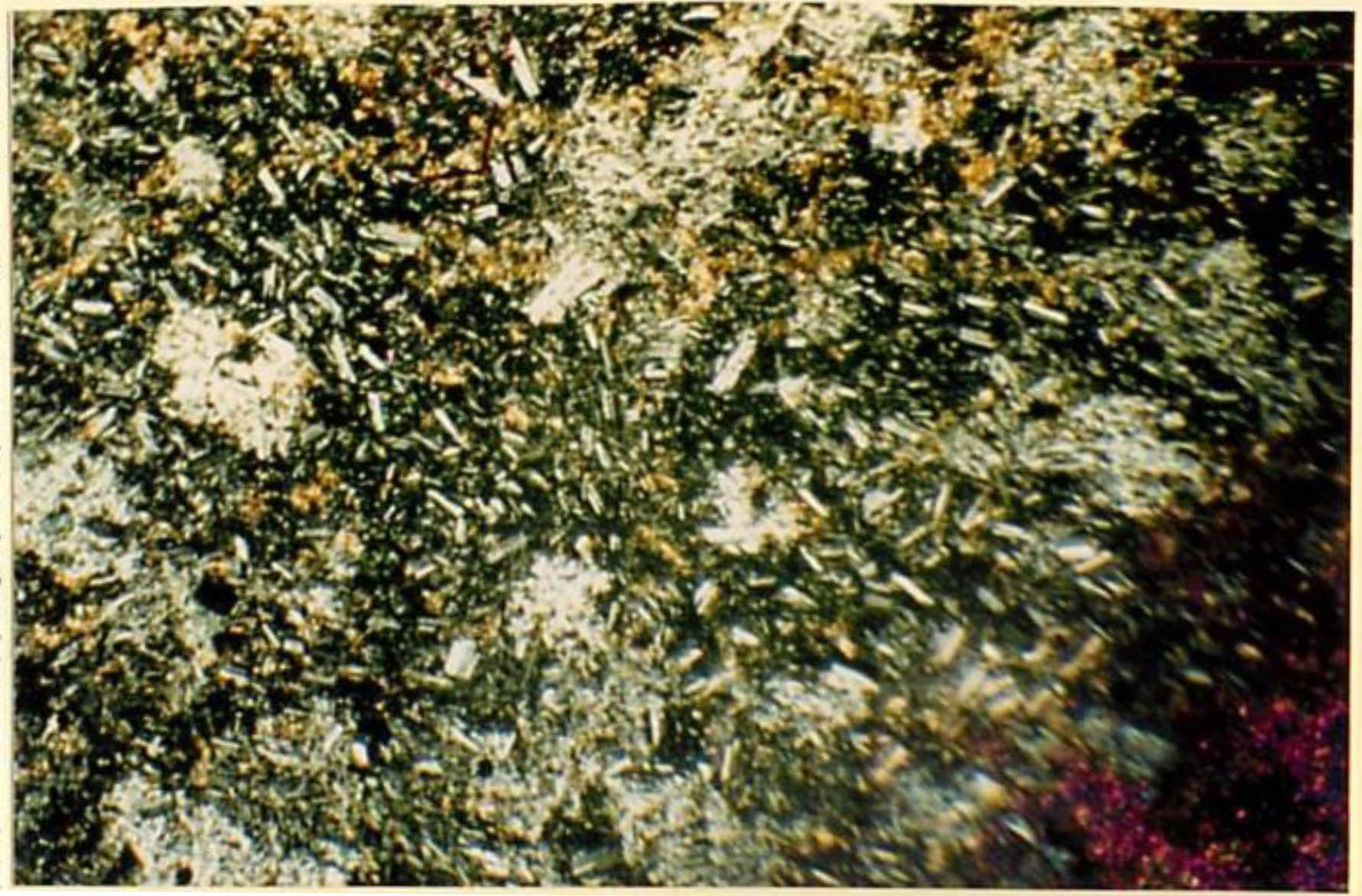 thin section image 1