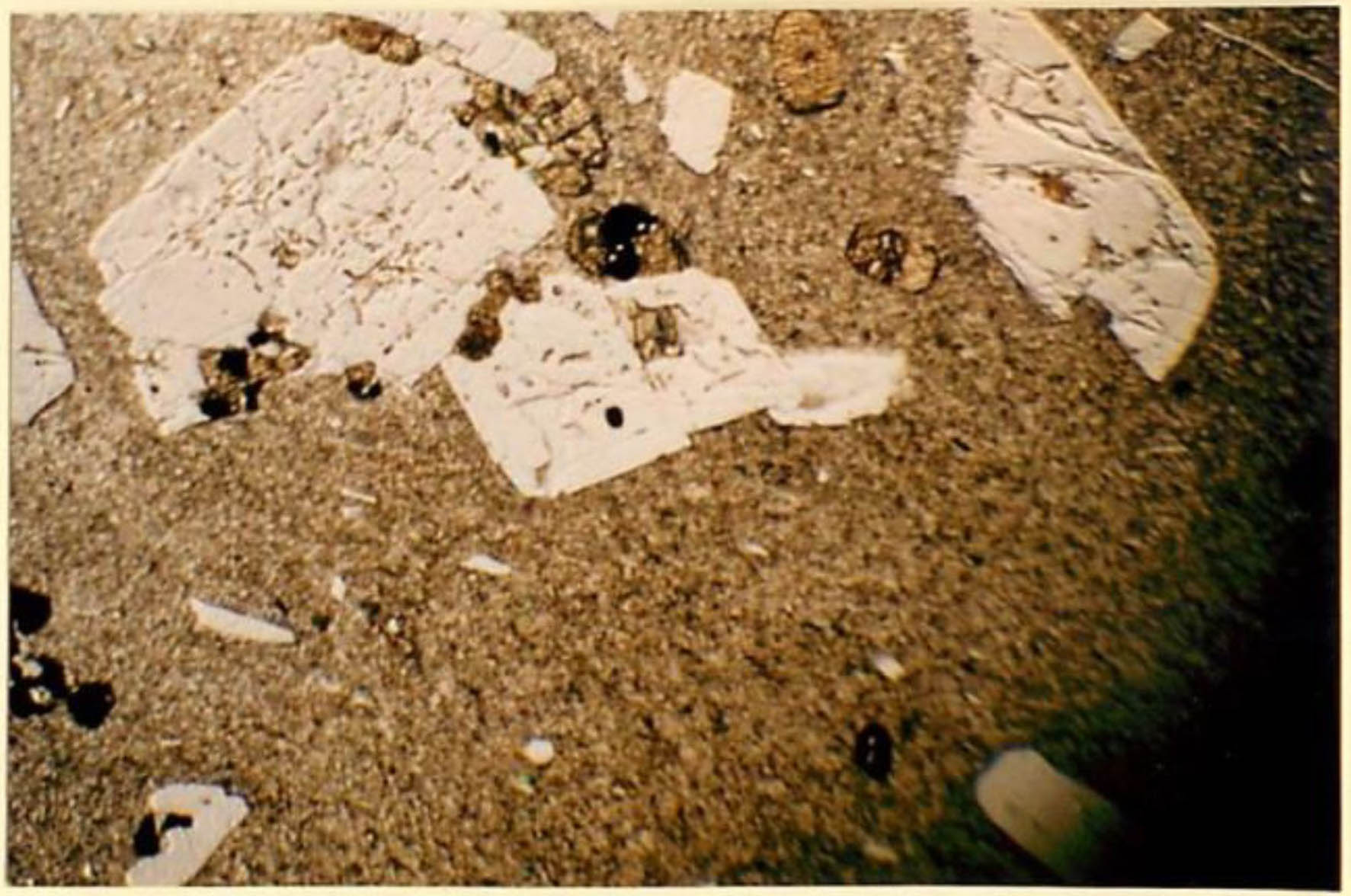 thin section image 2