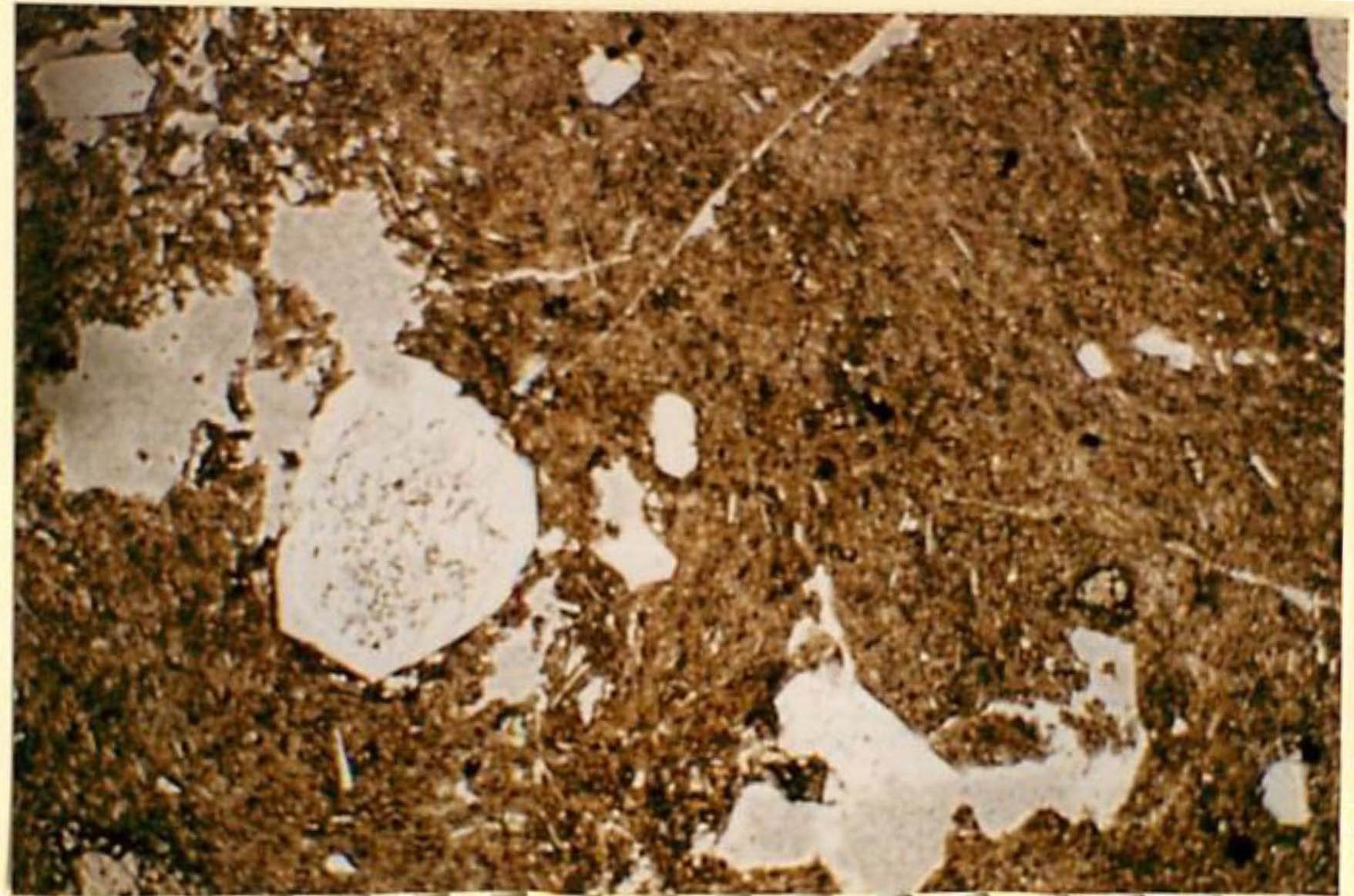 thin section image 2