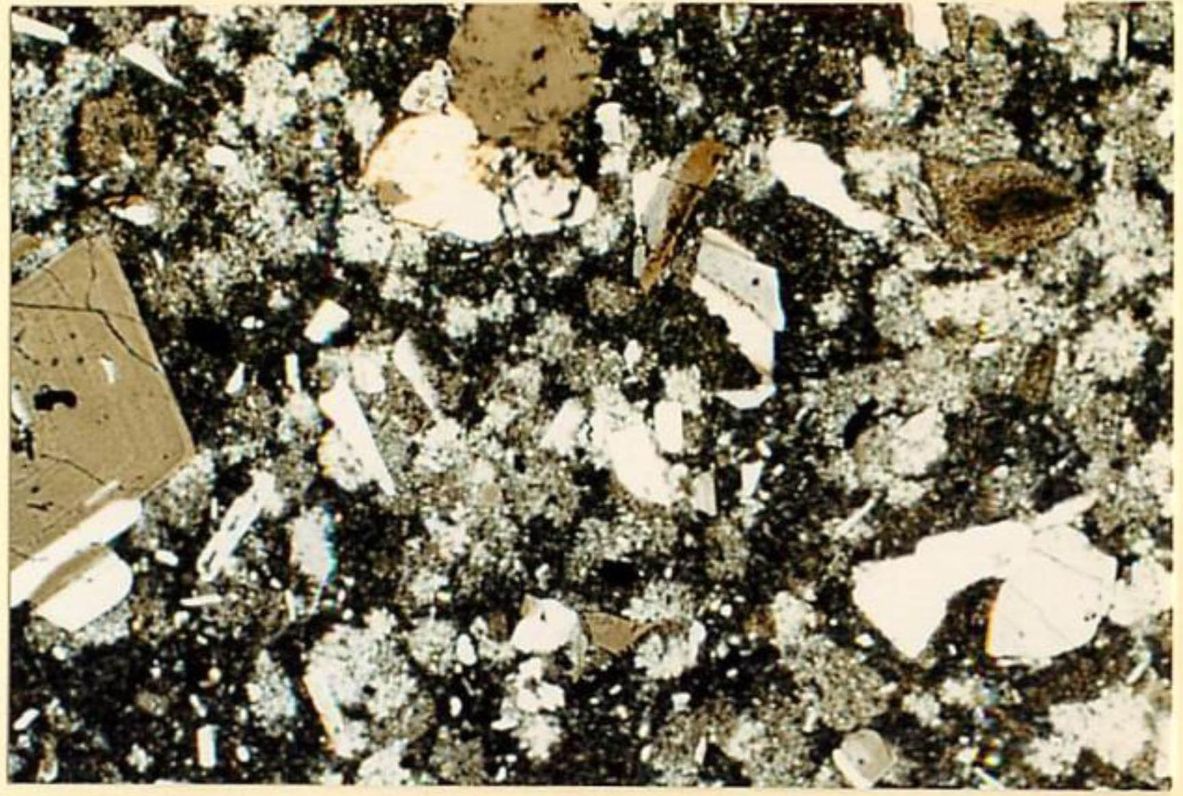 thin section image 1