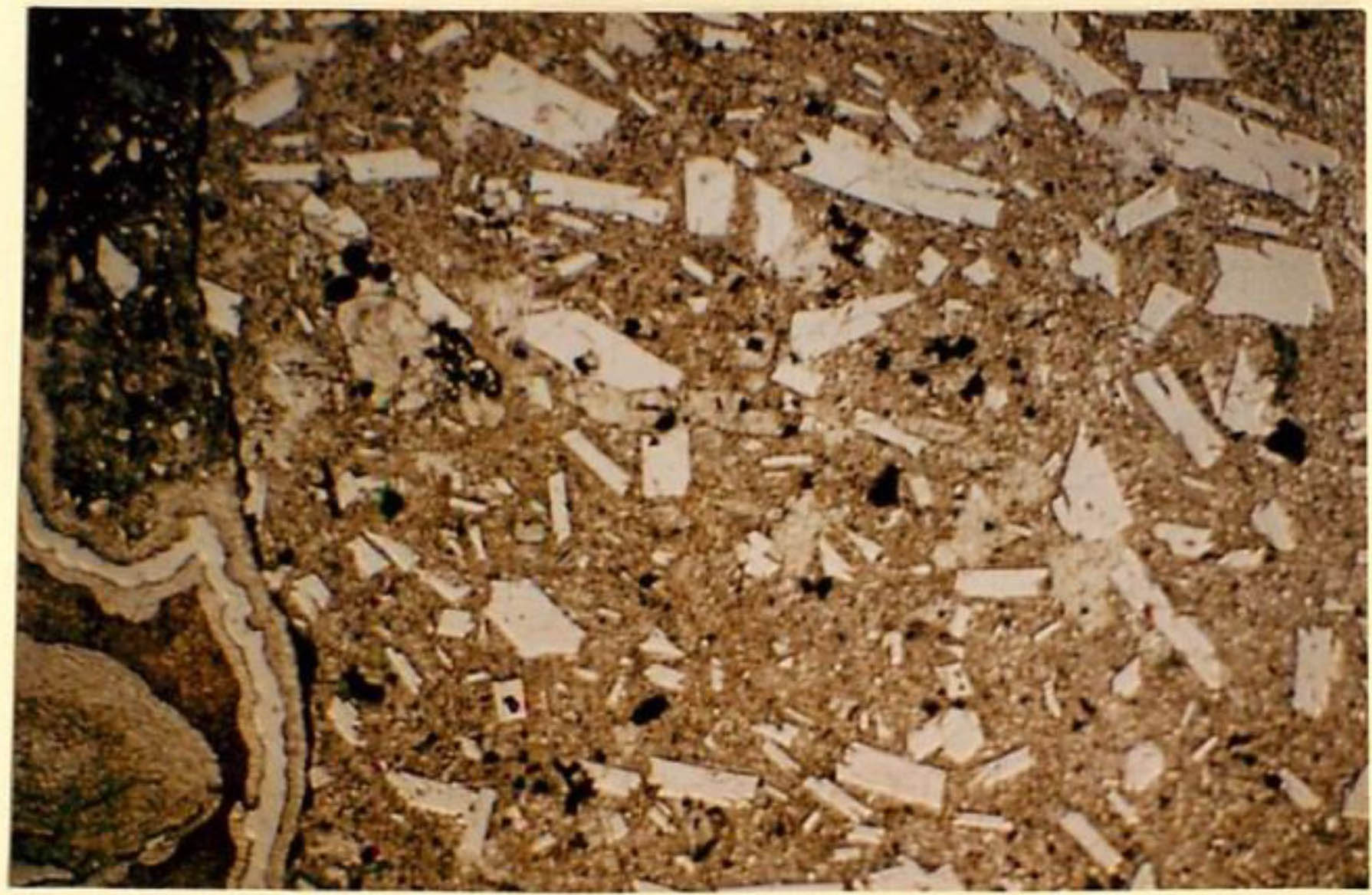 thin section image 2
