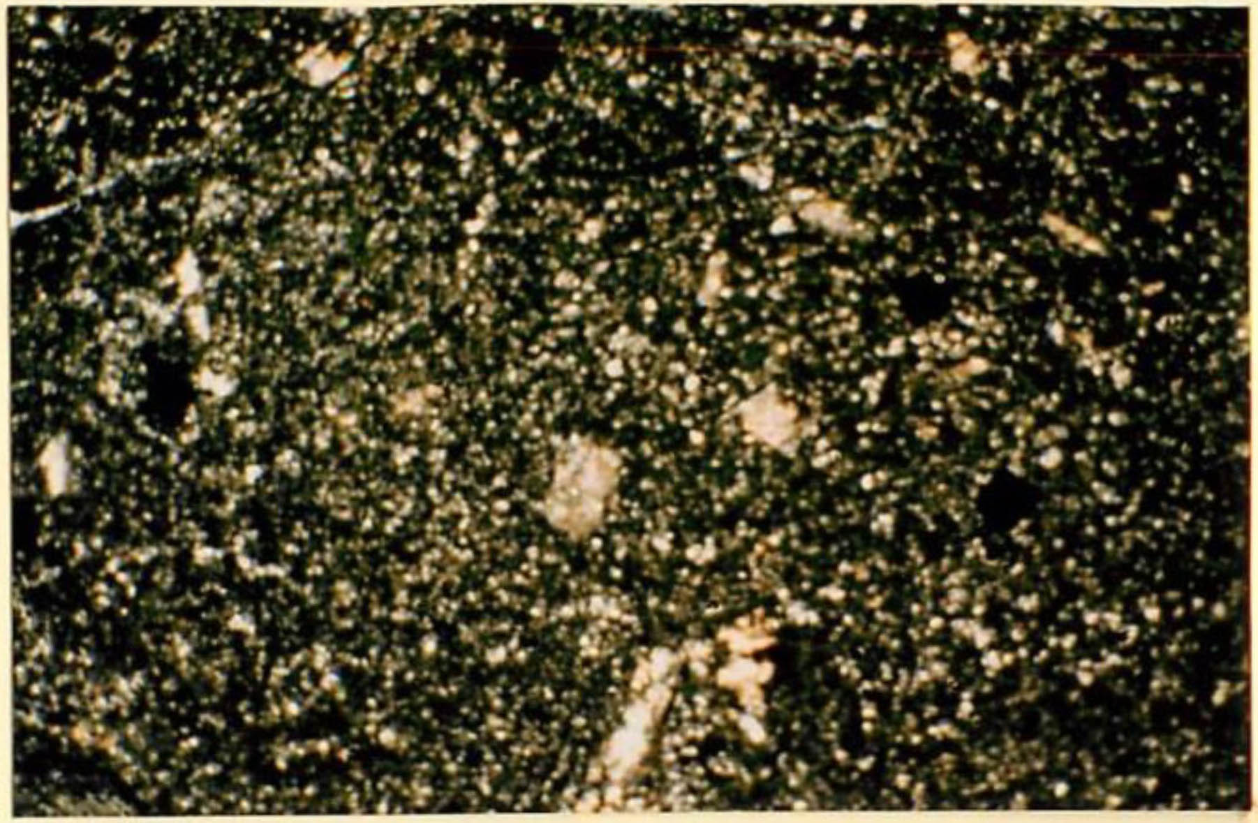 thin section image 1