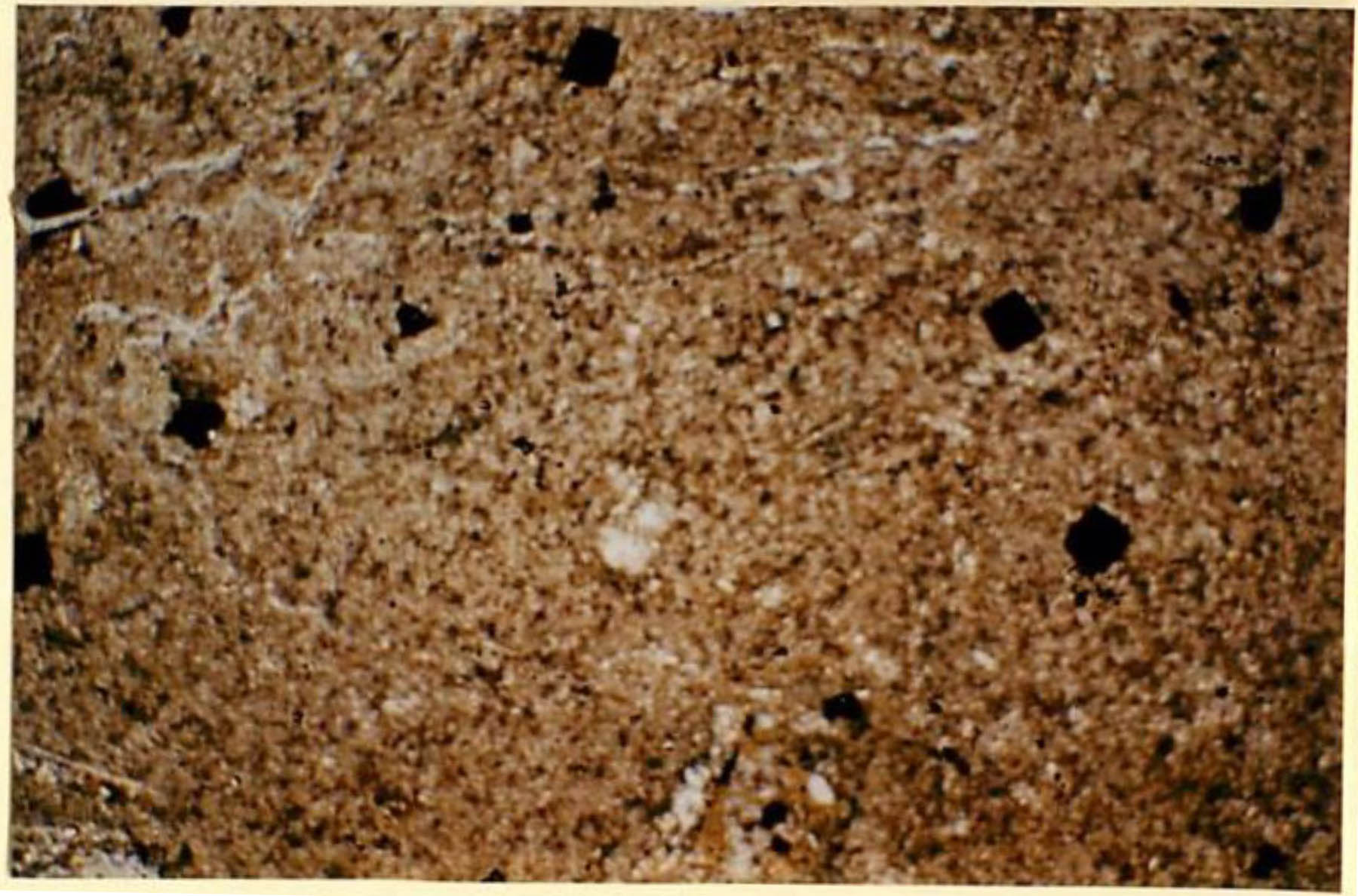 thin section image 2