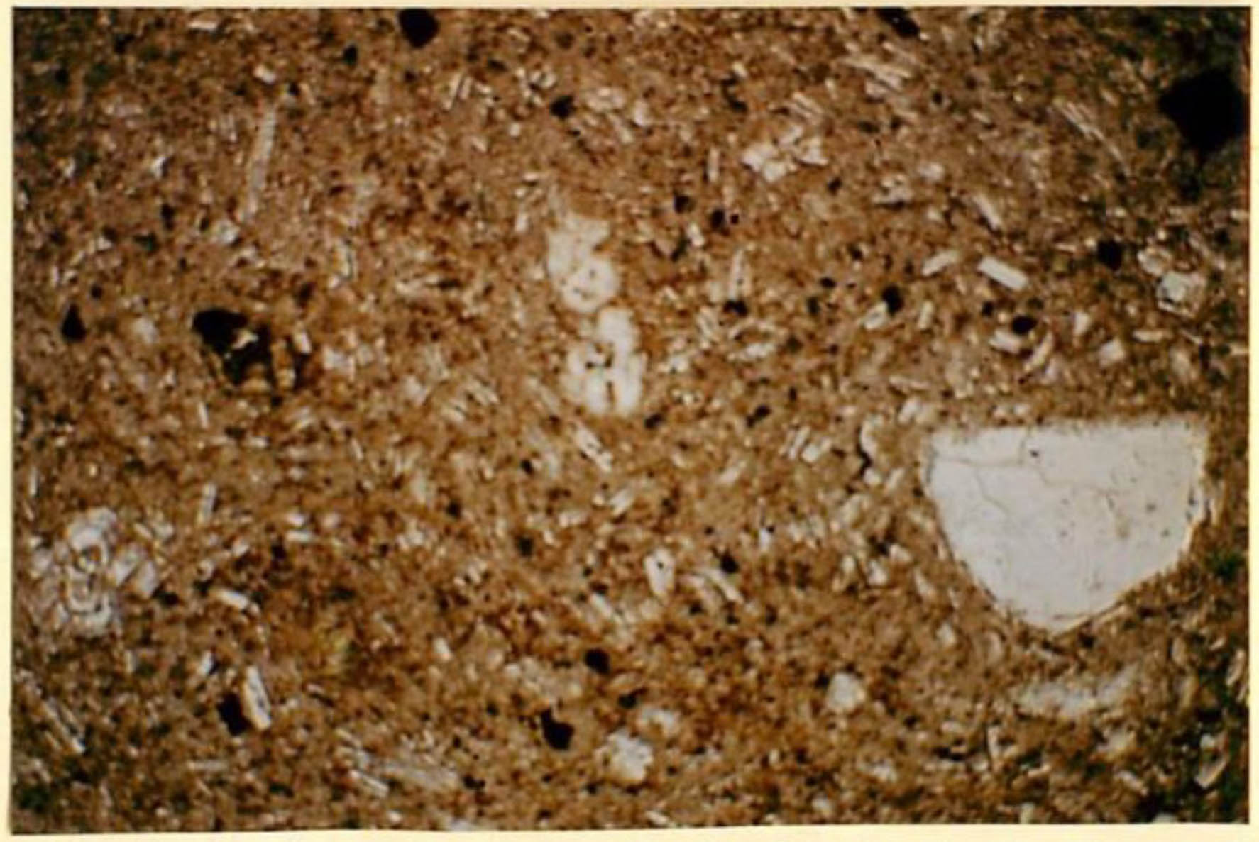 thin section image 2