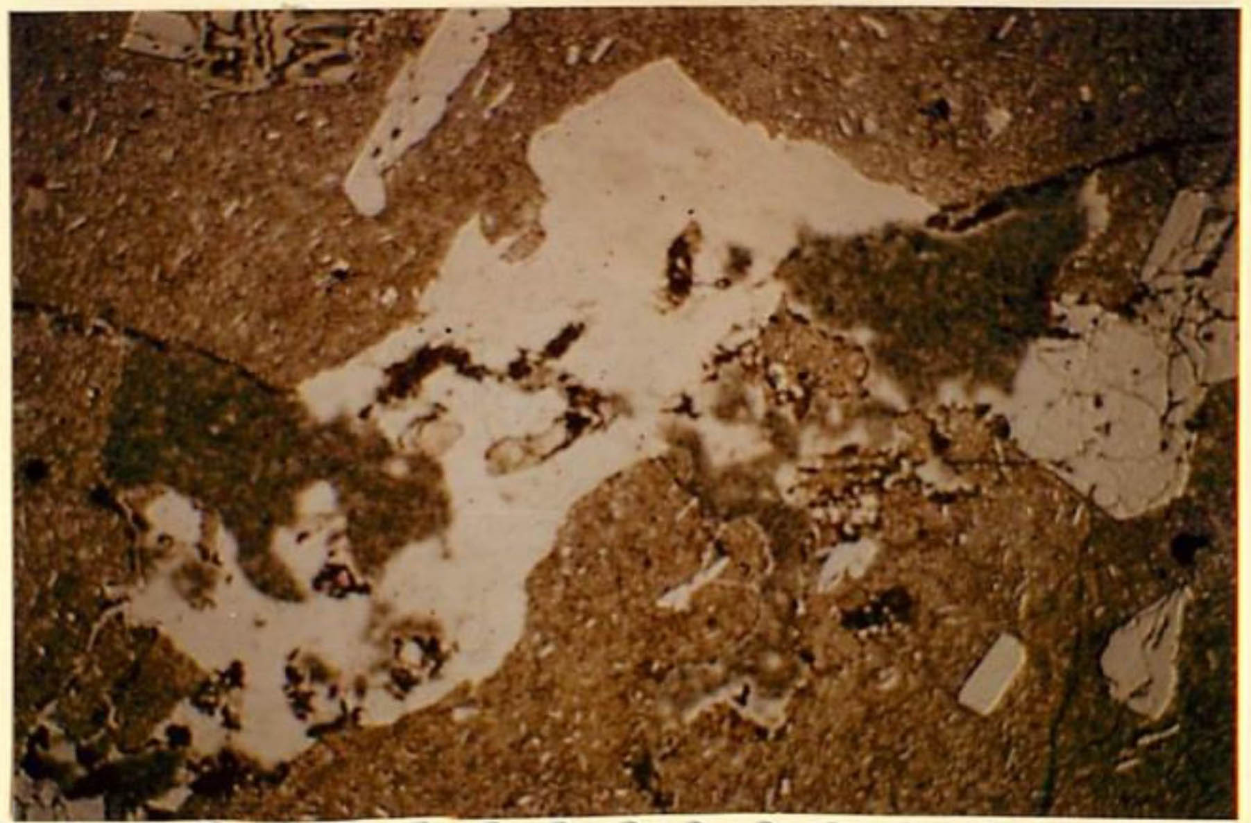 thin section image 2