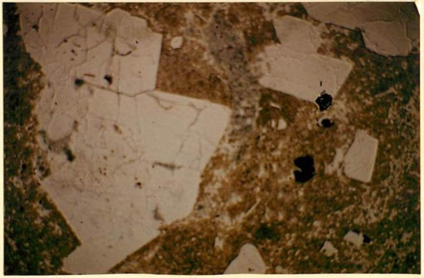 thin section image 2