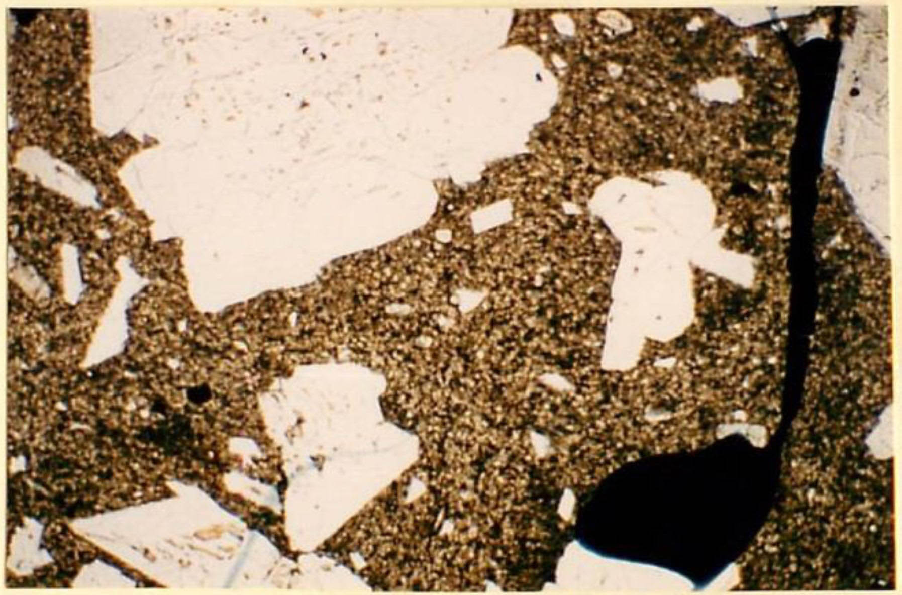 thin section image 2