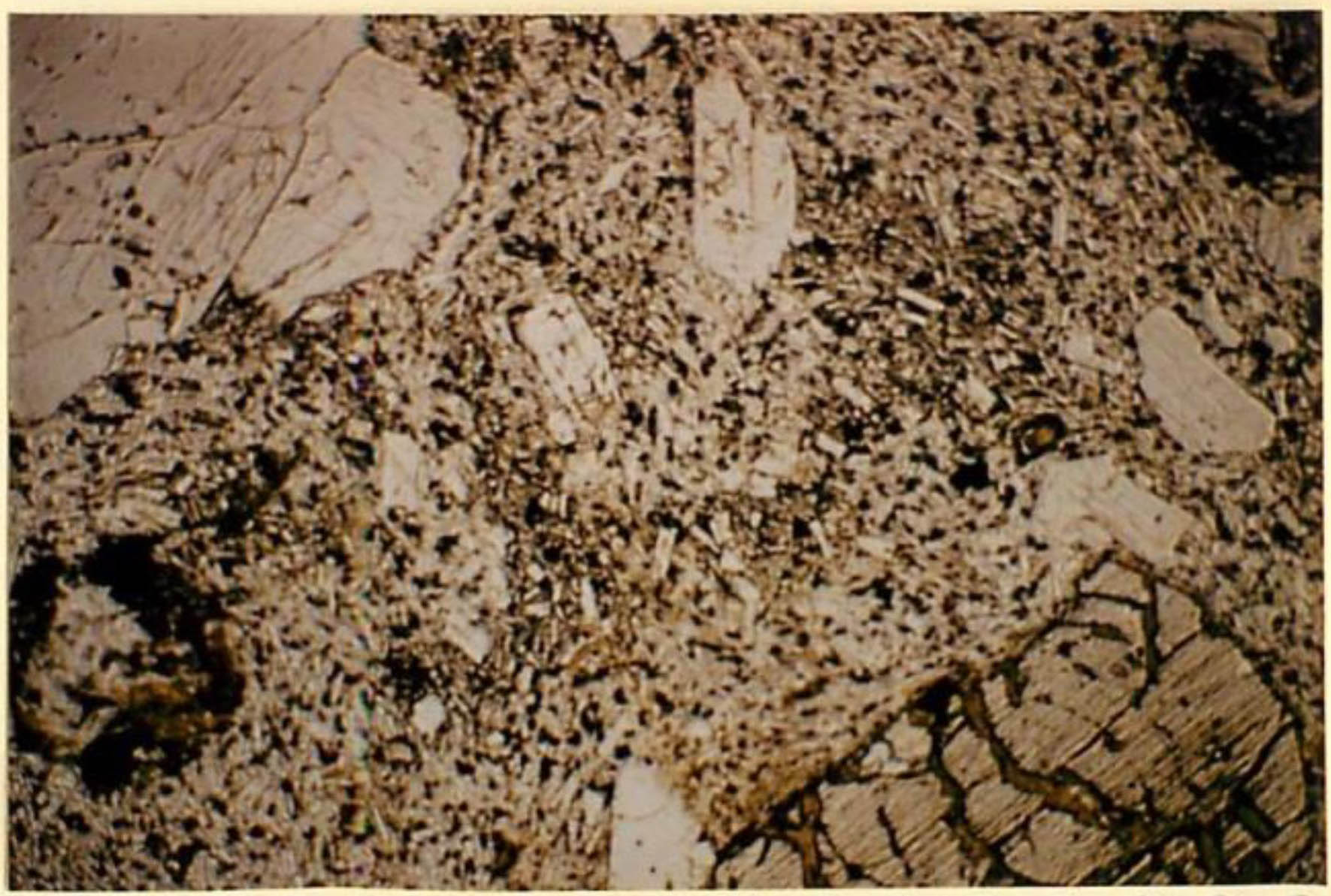 thin section image 2
