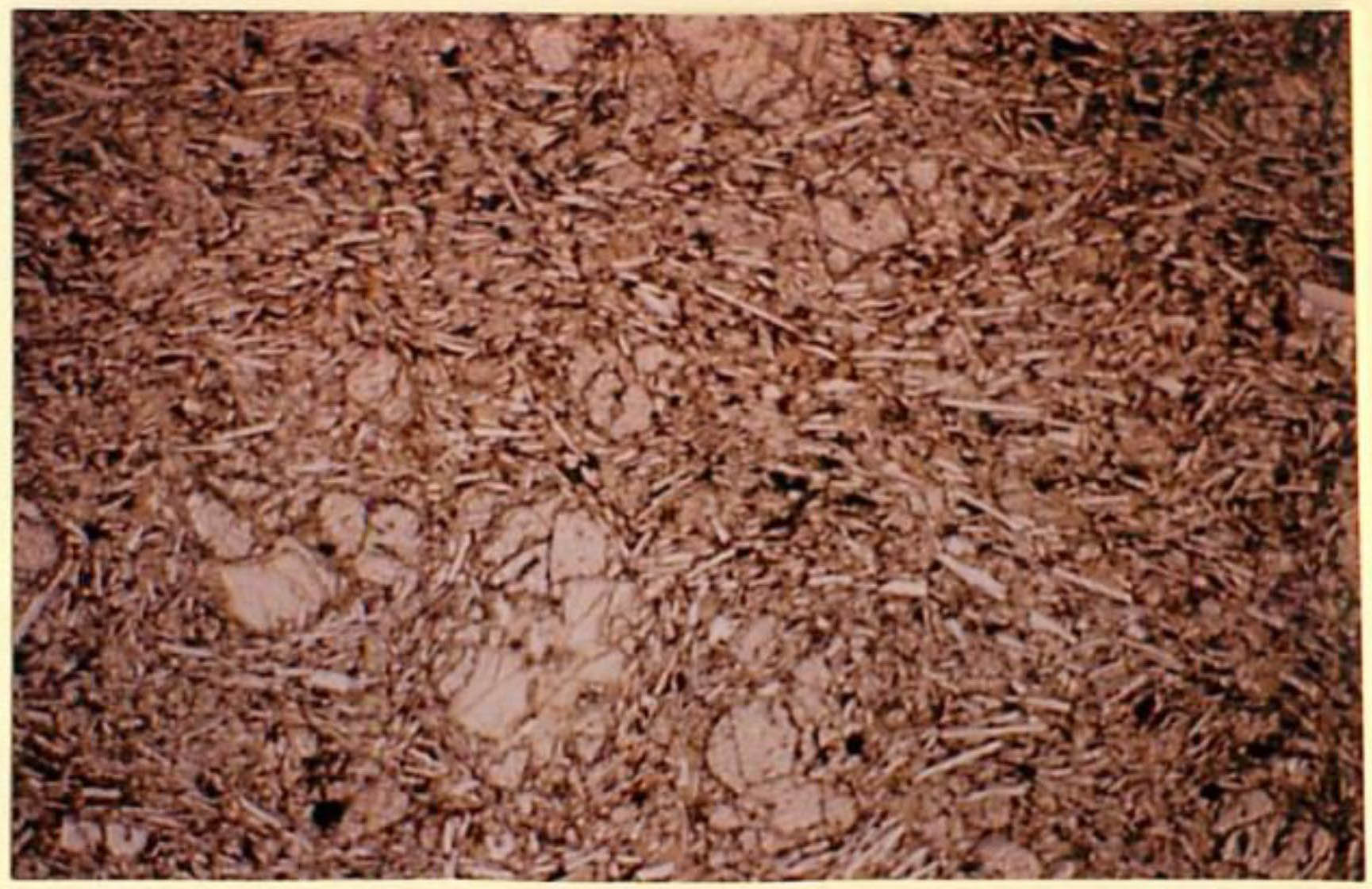 thin section image 2