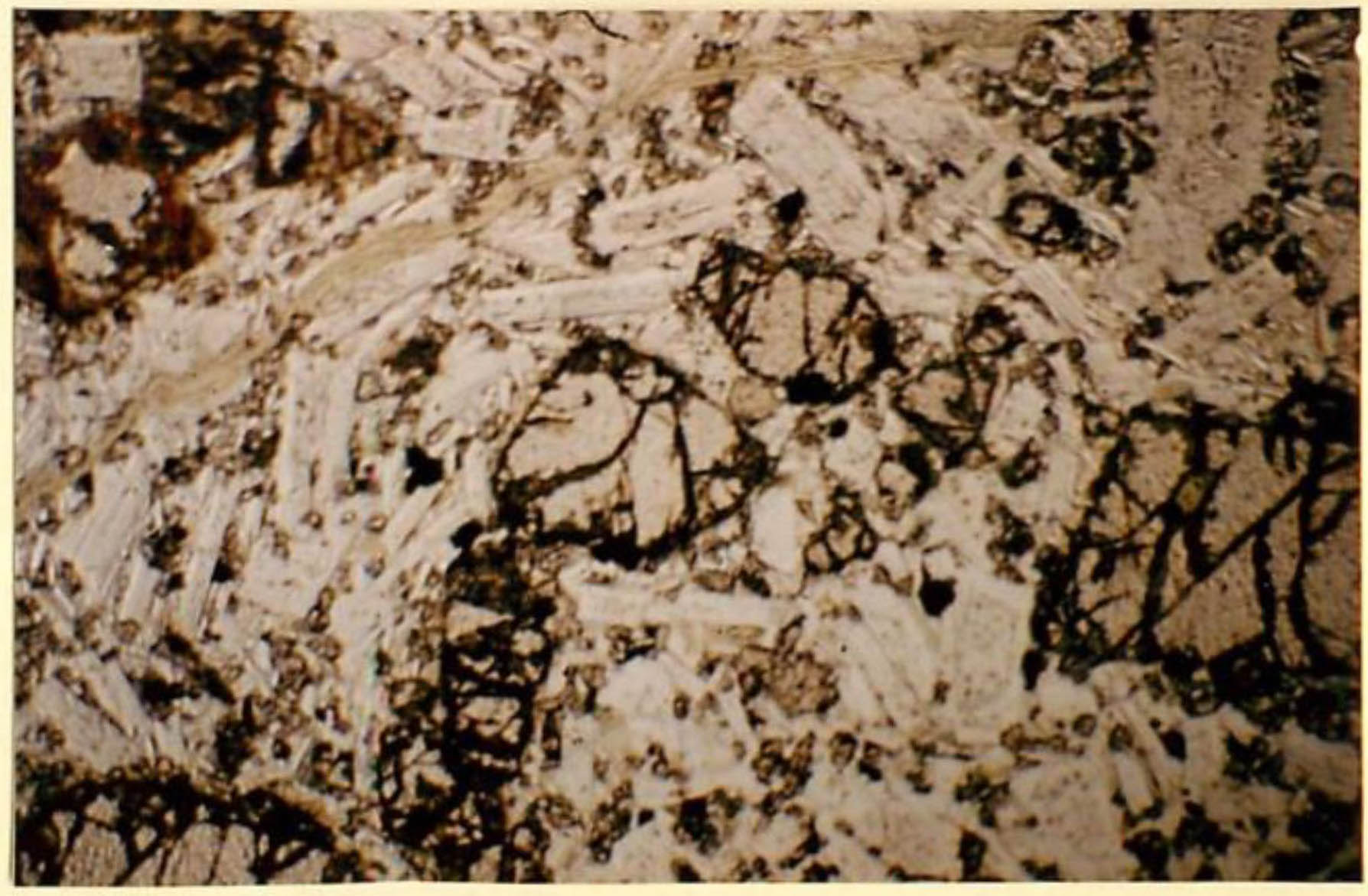 thin section image 2