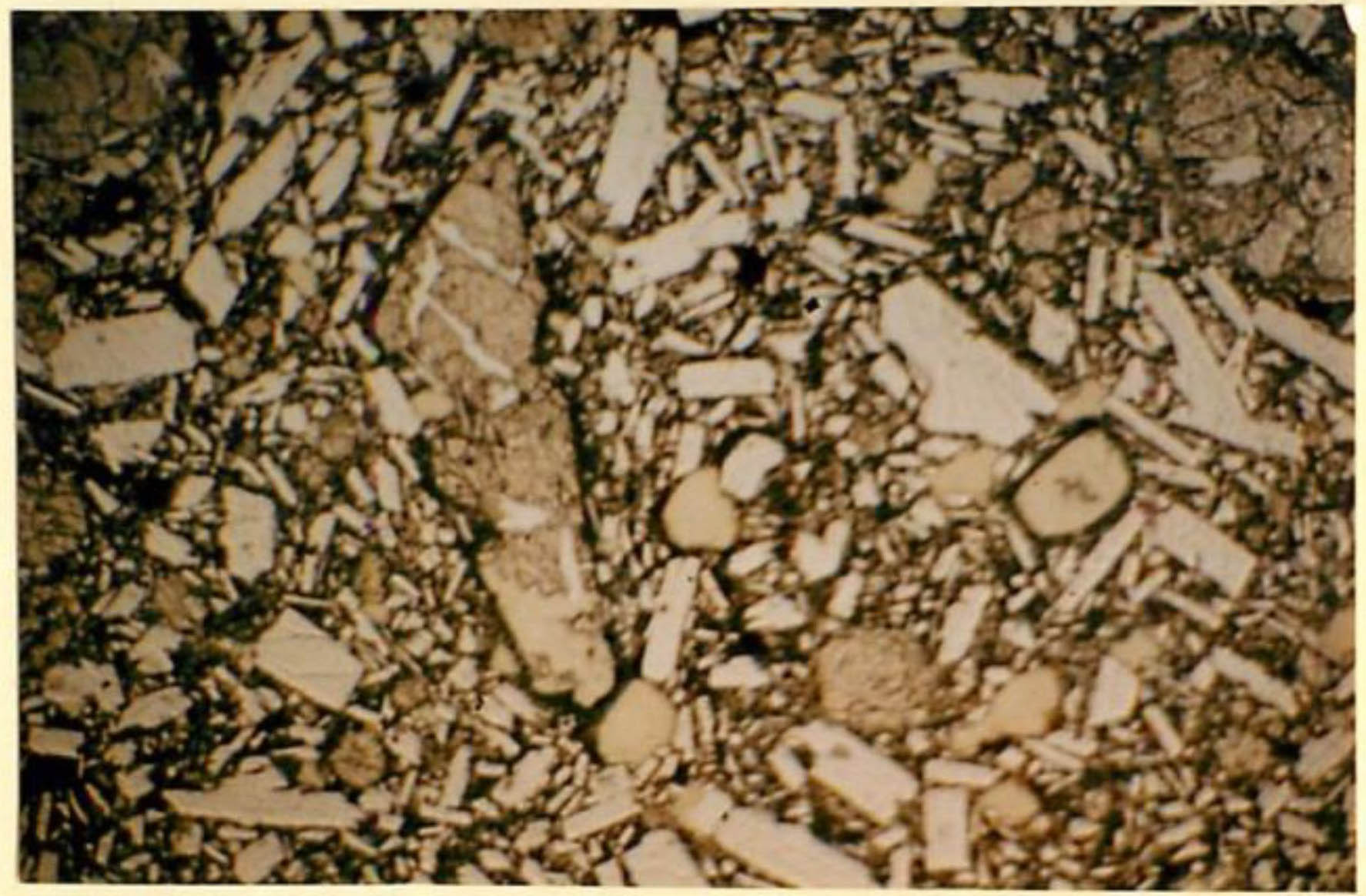 thin section image 2