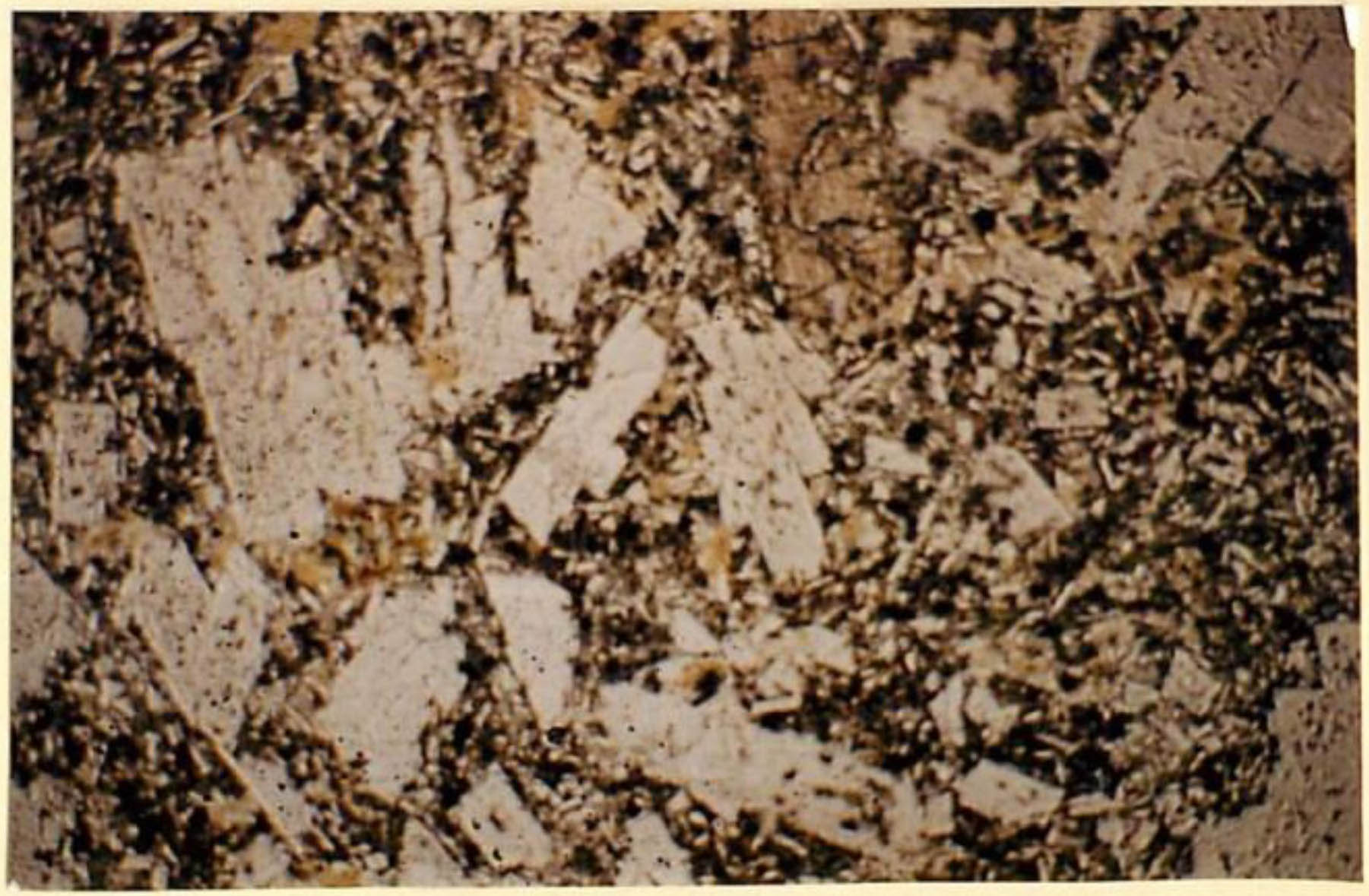 thin section image 2