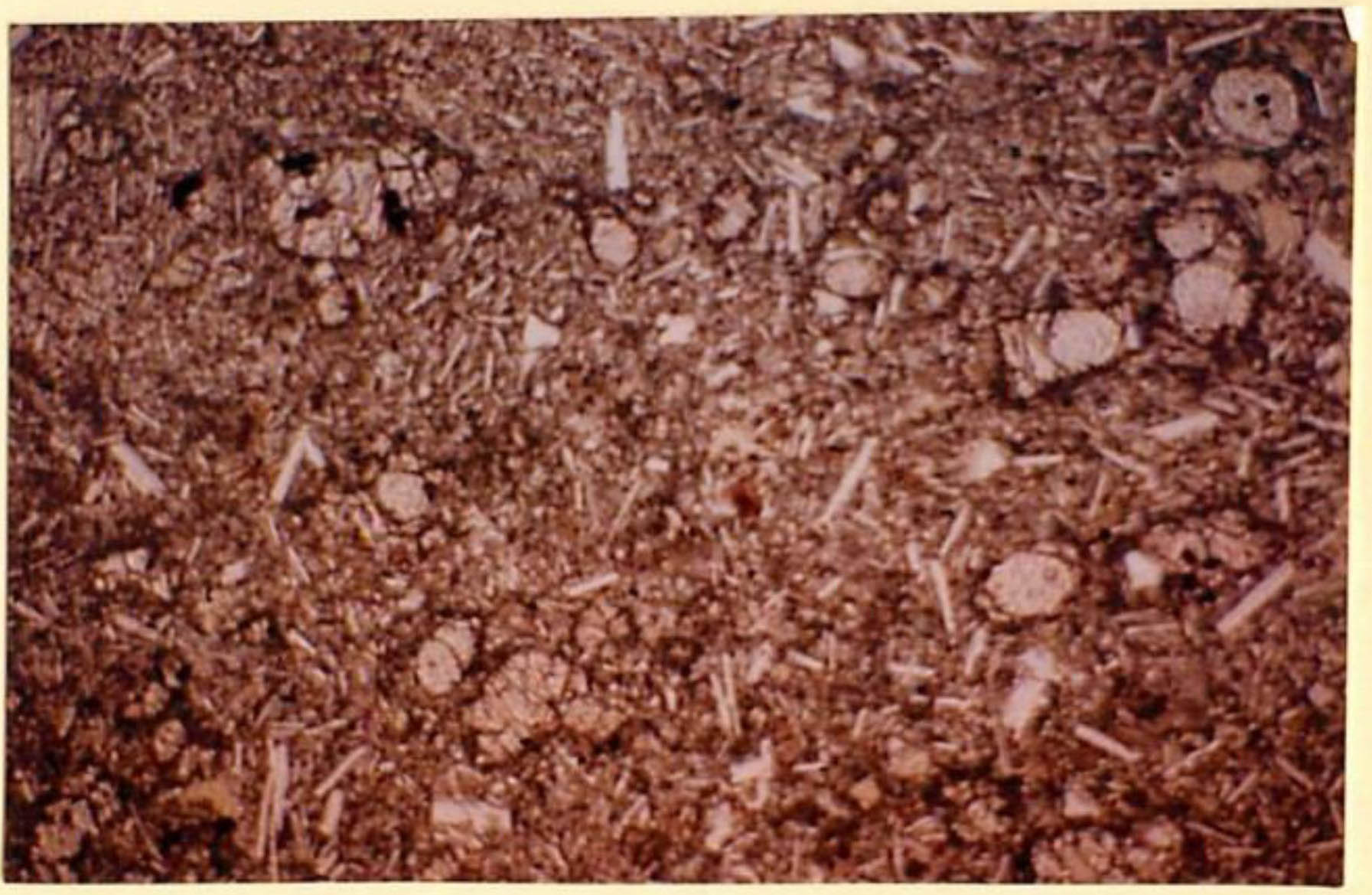 thin section image 2