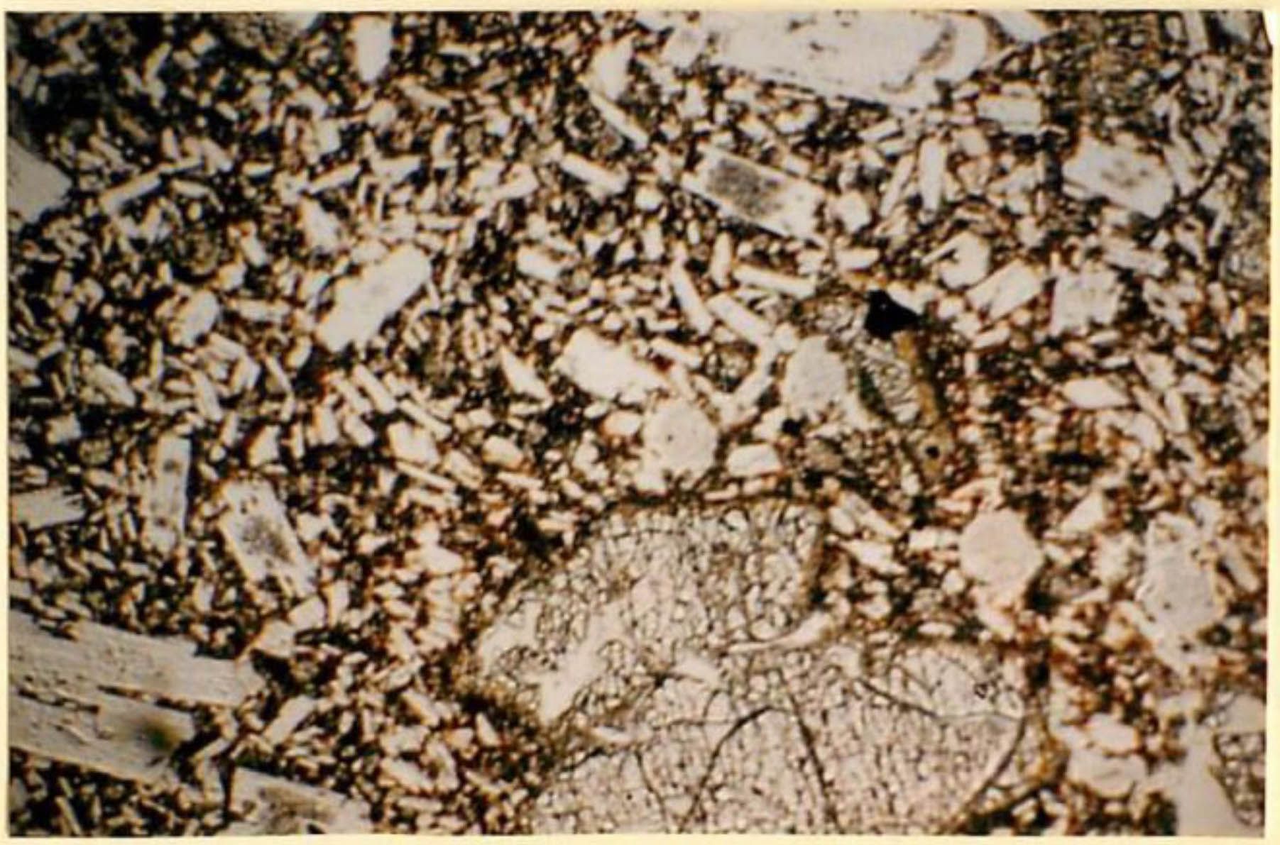 thin section image 2